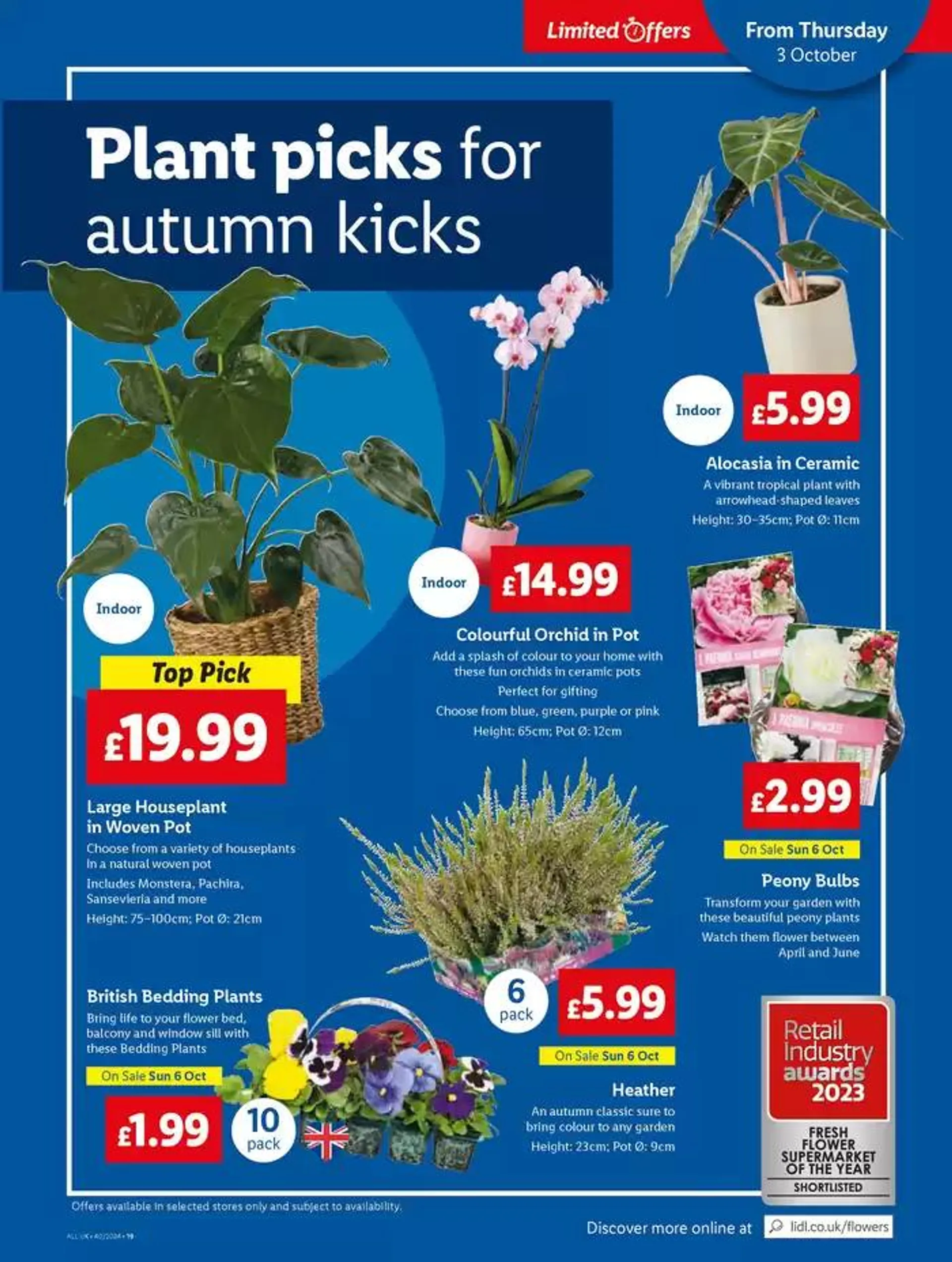 Great discounts on selected products from 3 October to 9 October 2024 - Catalogue Page 21