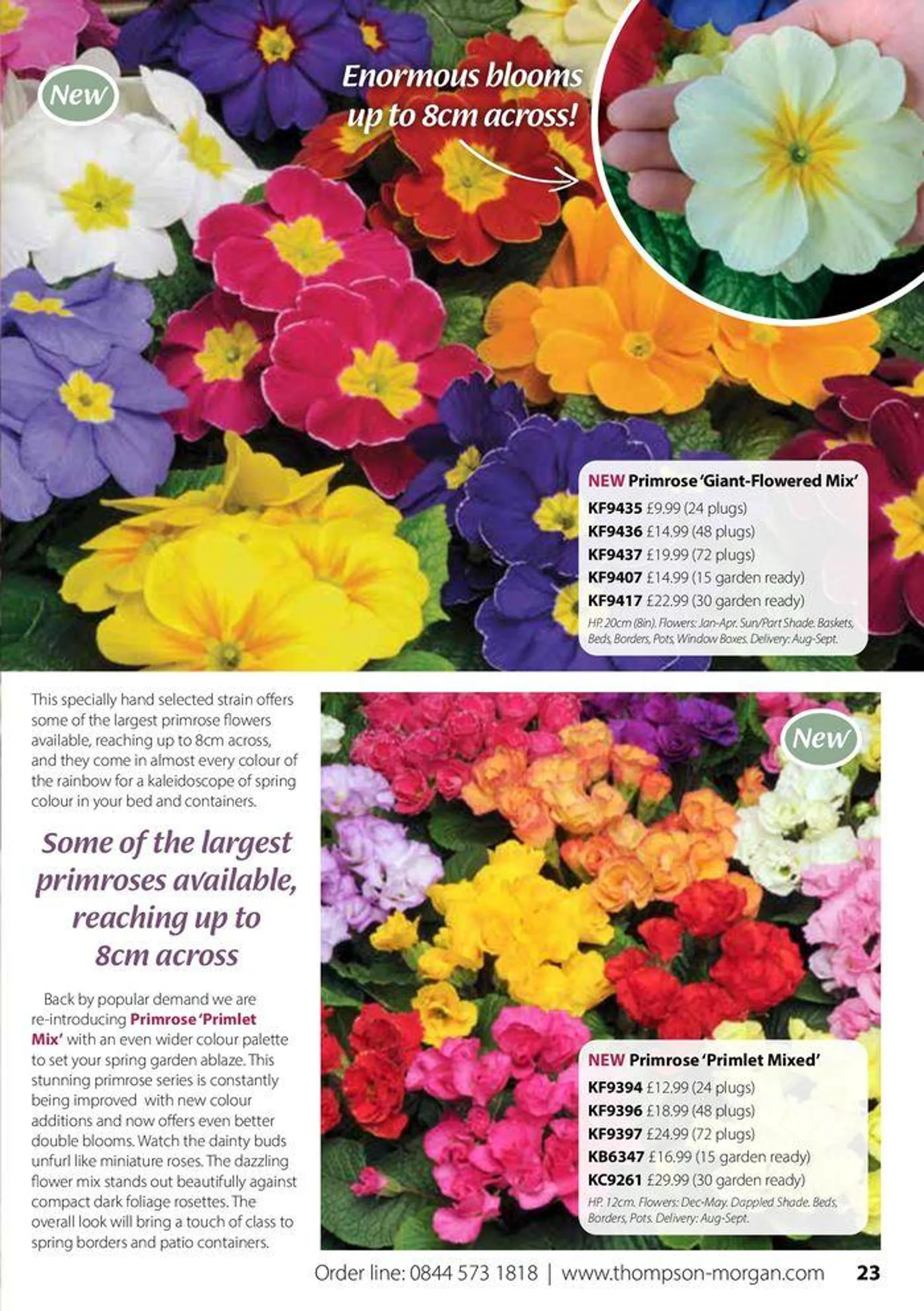 Autumn Catalogue from 1 September to 30 November 2024 - Catalogue Page 23