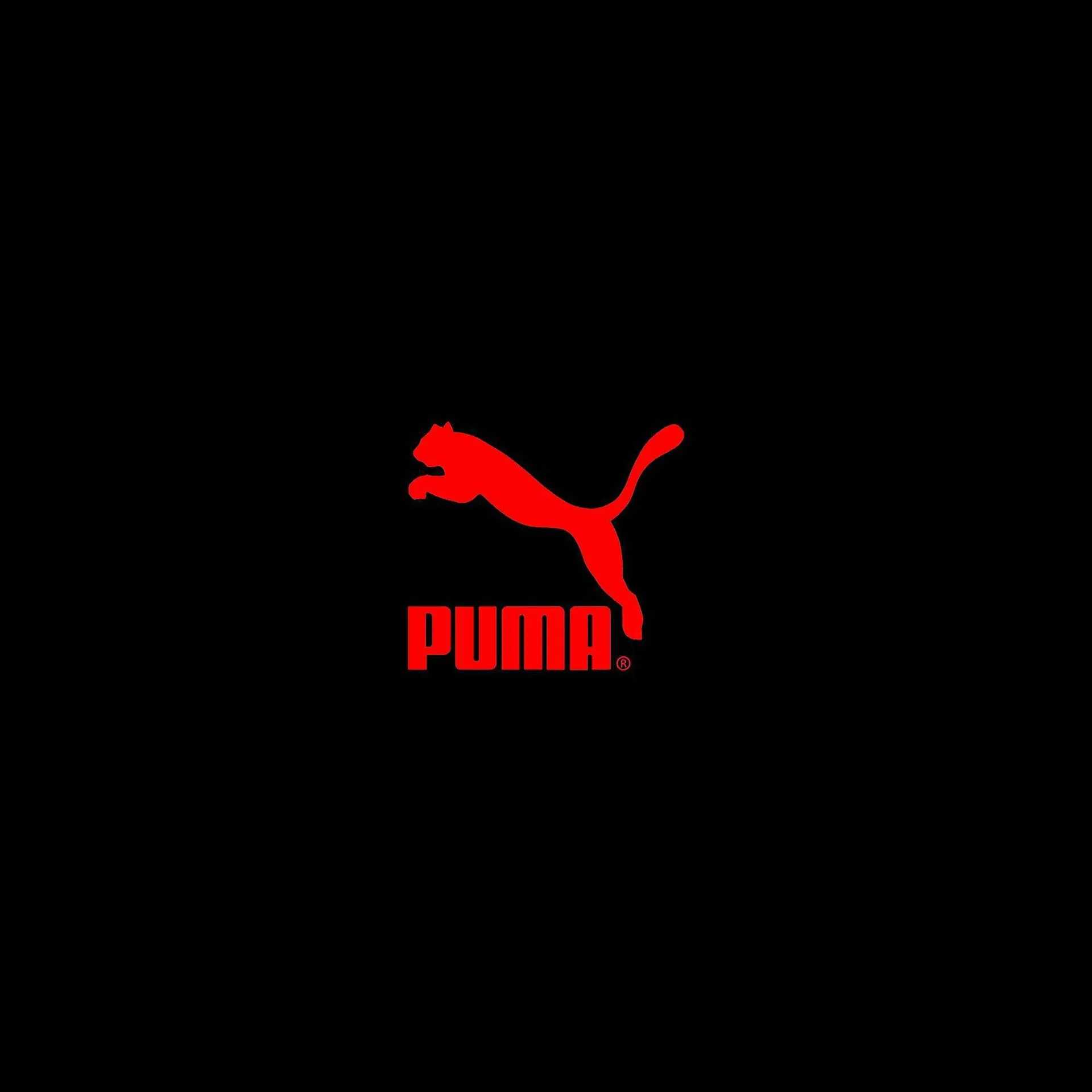 Puma leaflet - 12