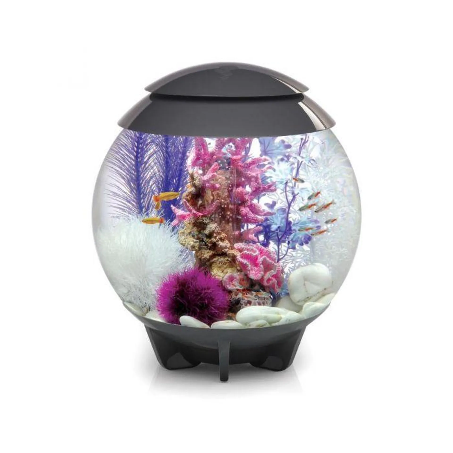 BiOrb Grey Halo Coldwater Aquarium with Multi Coloured LED - 30L