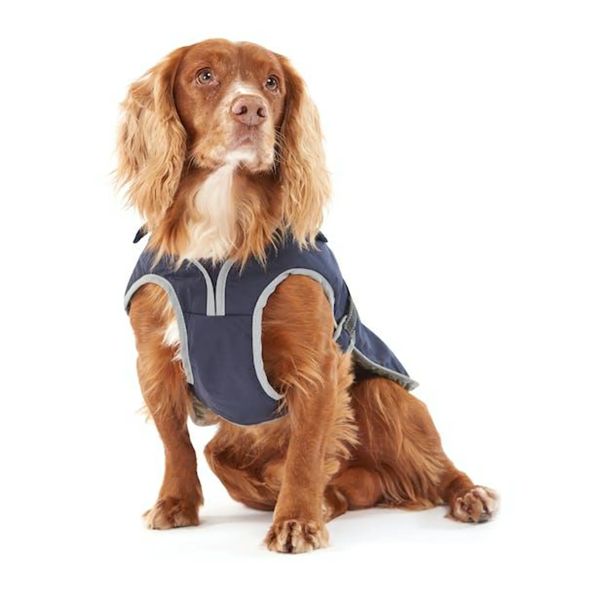 Barbour Monmouth Waterproof Dog Jacket