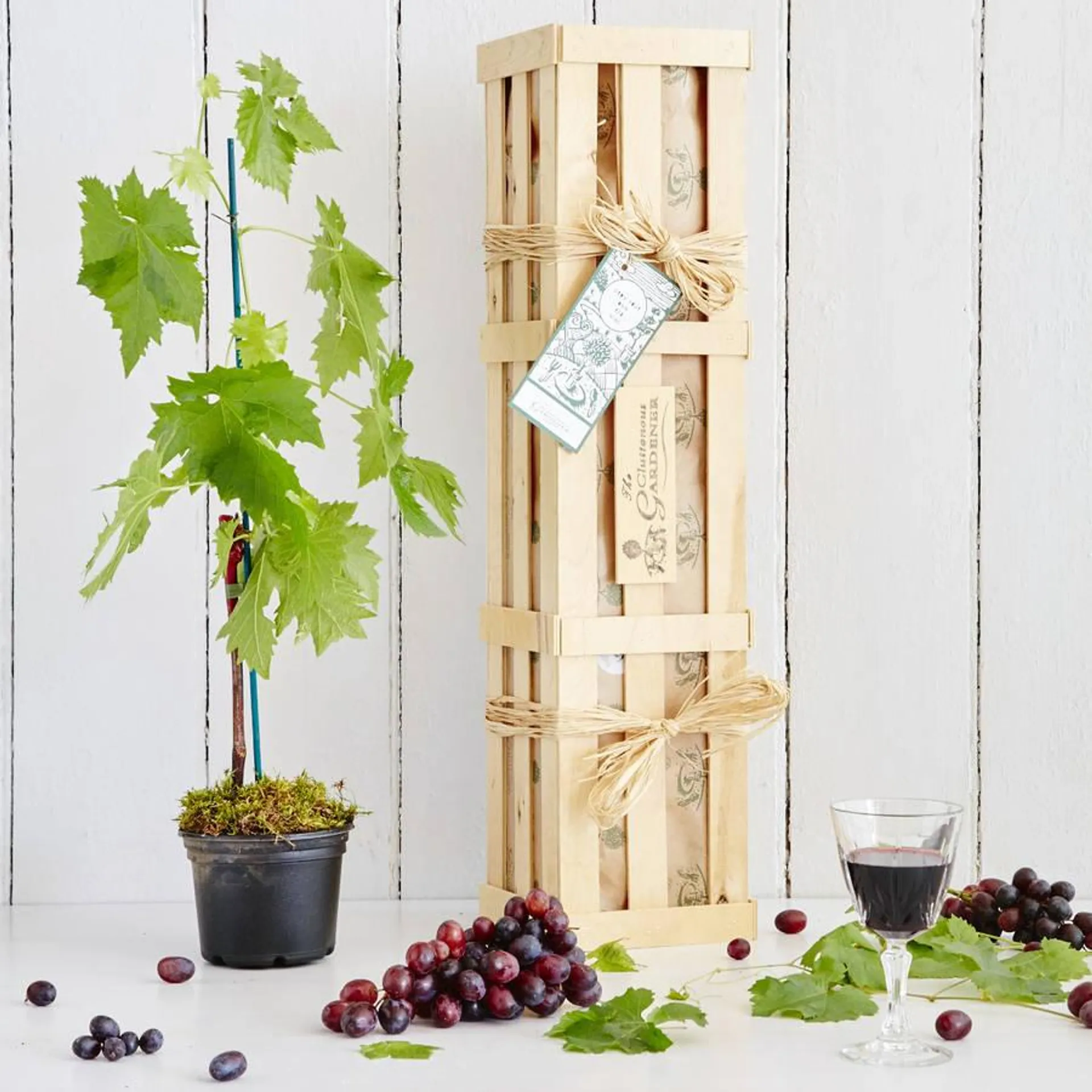 Grow Your Own Red Wine Gift Crate