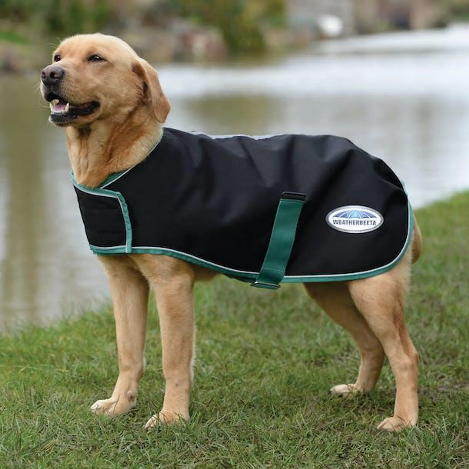 Weatherbeeta Green Tec 900d Medium Dog Jacket