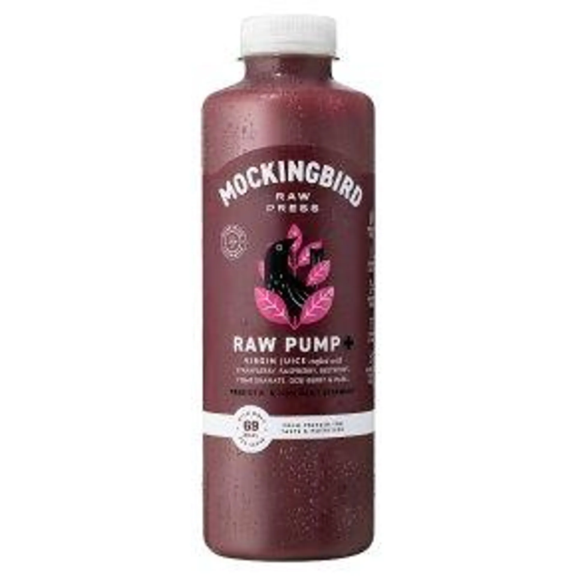 Mockingbird Raw Press Raw Pump Fruit Juice