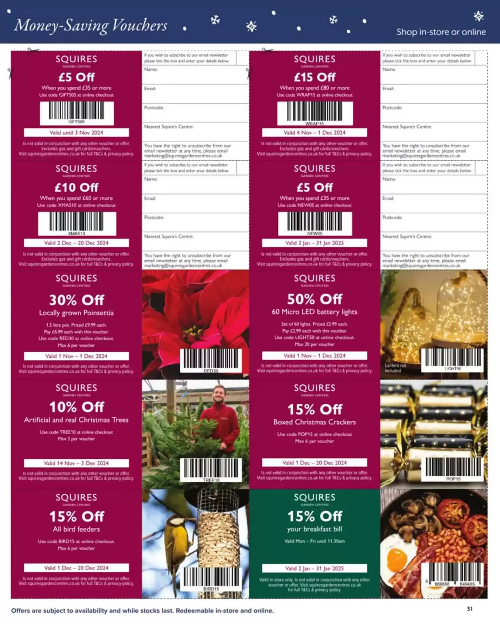 Squires Garden Centres leaflet from 26 November to 31 December 2024 - Catalogue Page 31