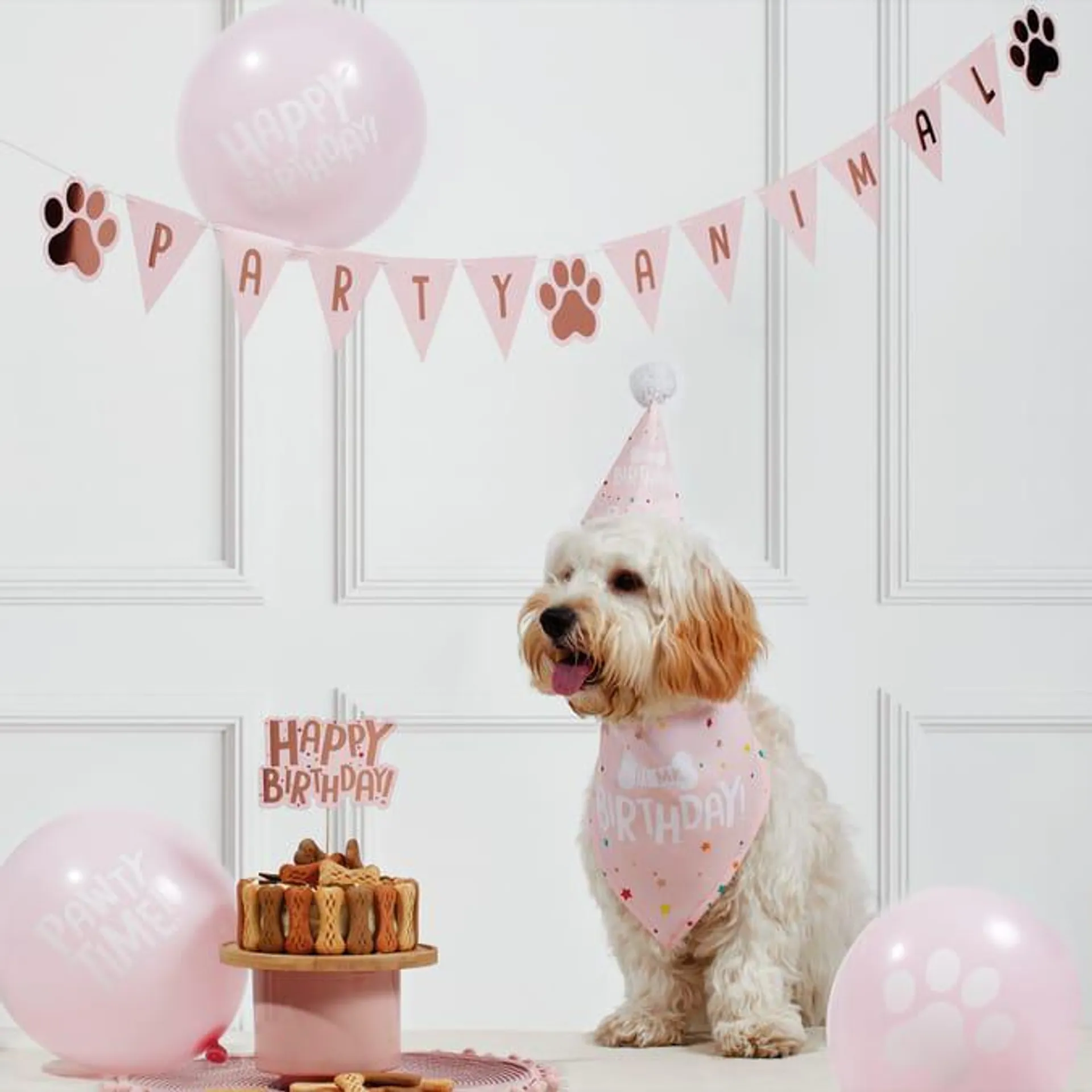 Let's Party Pet Birthday Kit