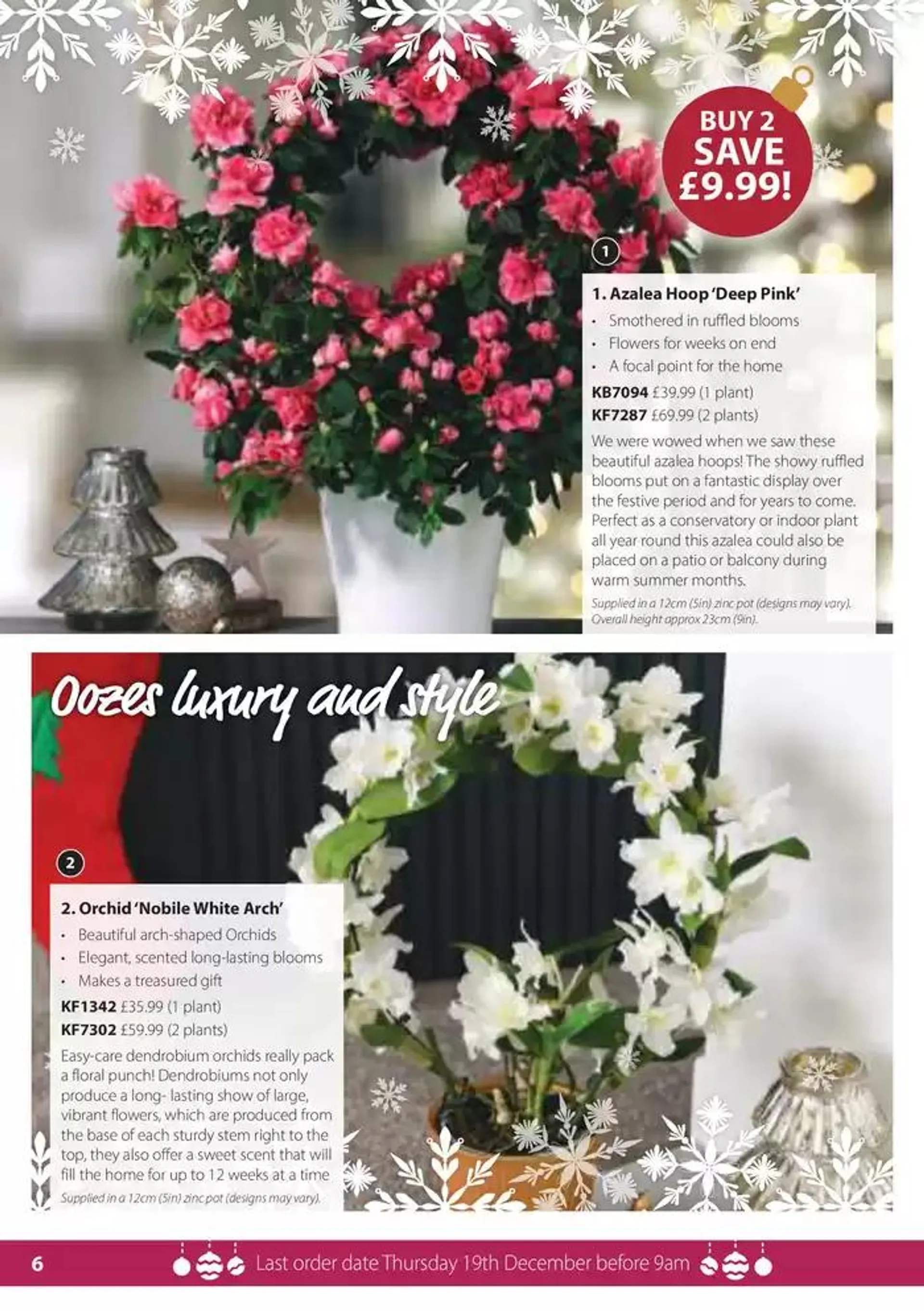 The Christmas Catalogue  from 5 November to 25 December 2024 - Catalogue Page 6