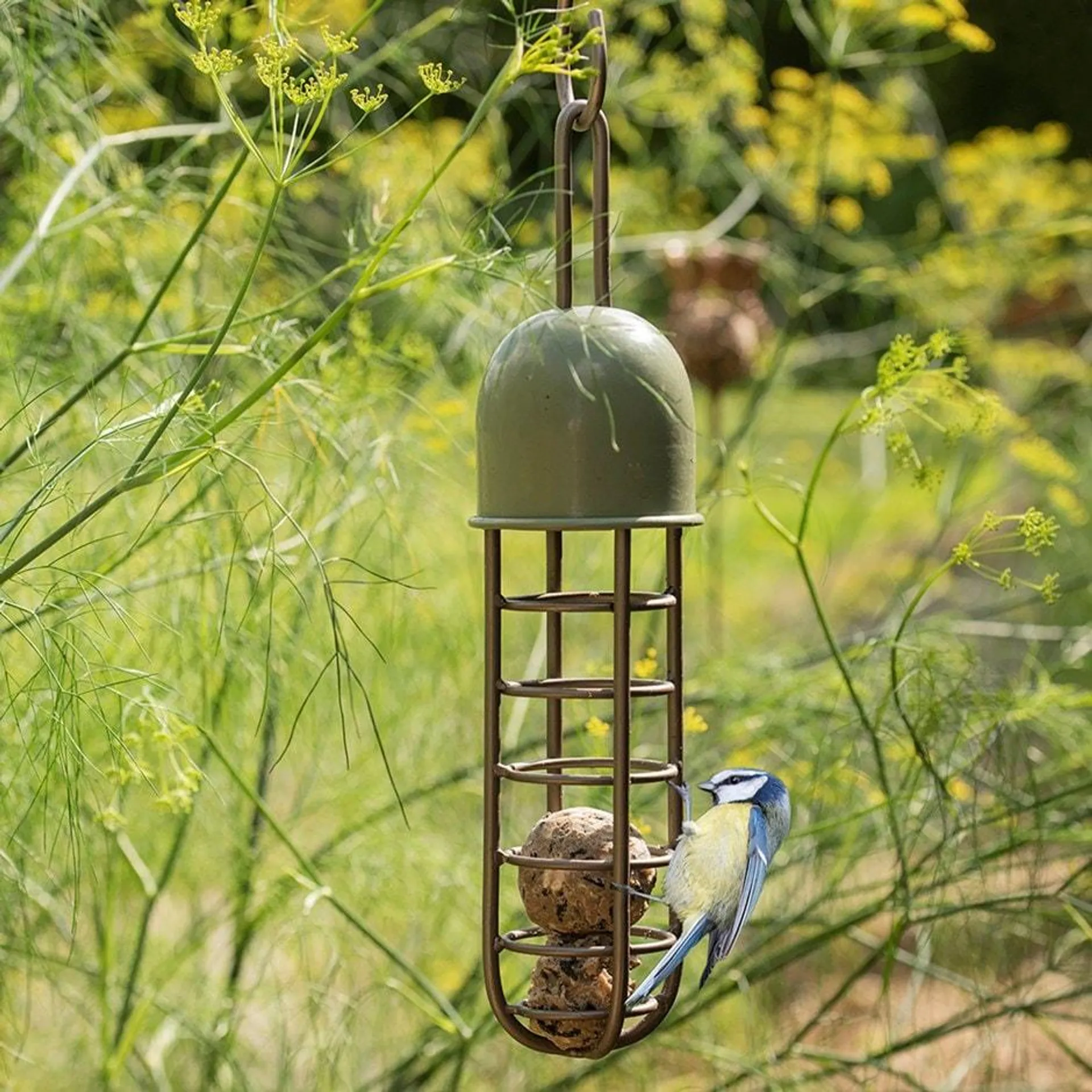 Tree hanging fat ball feeder - Crocus green