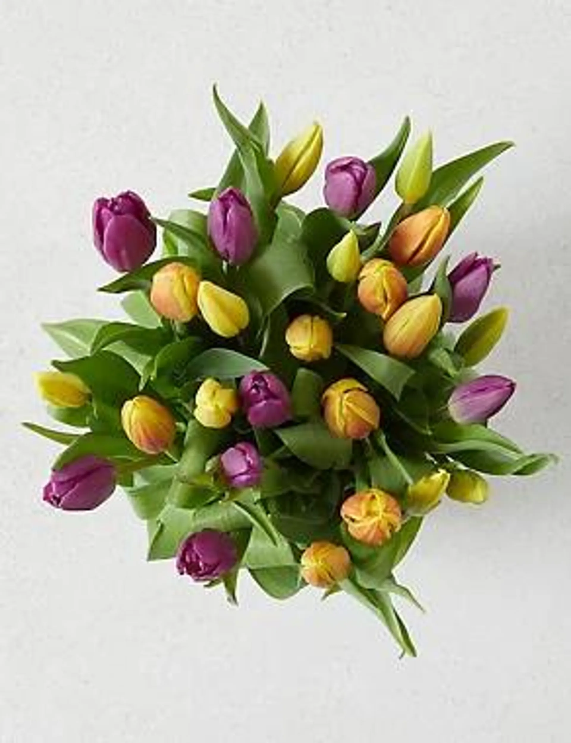 Bright & Beautiful Tulips