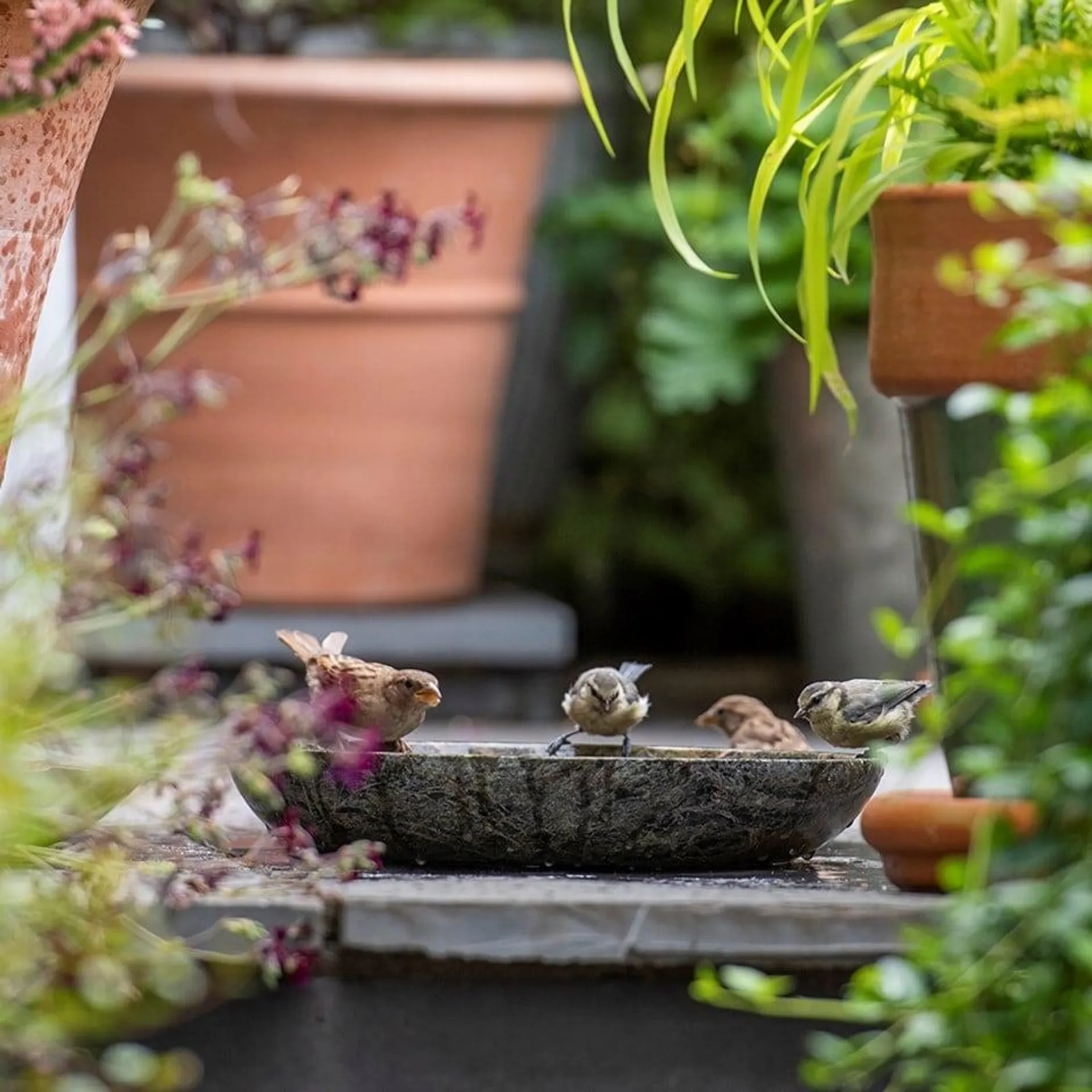 Turned green marble bird bowl