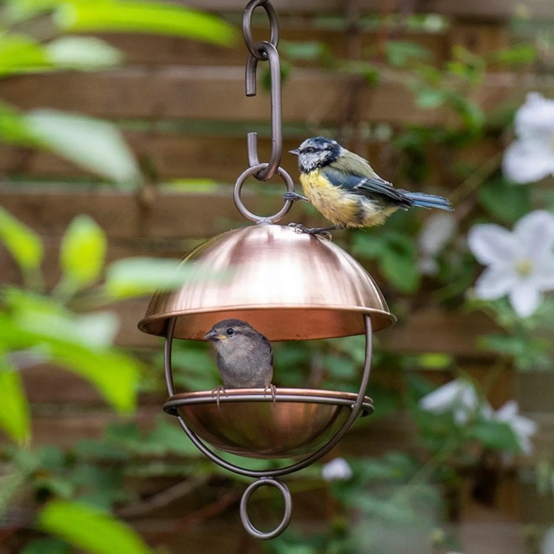 Brushed copper satellite bird seed feeder