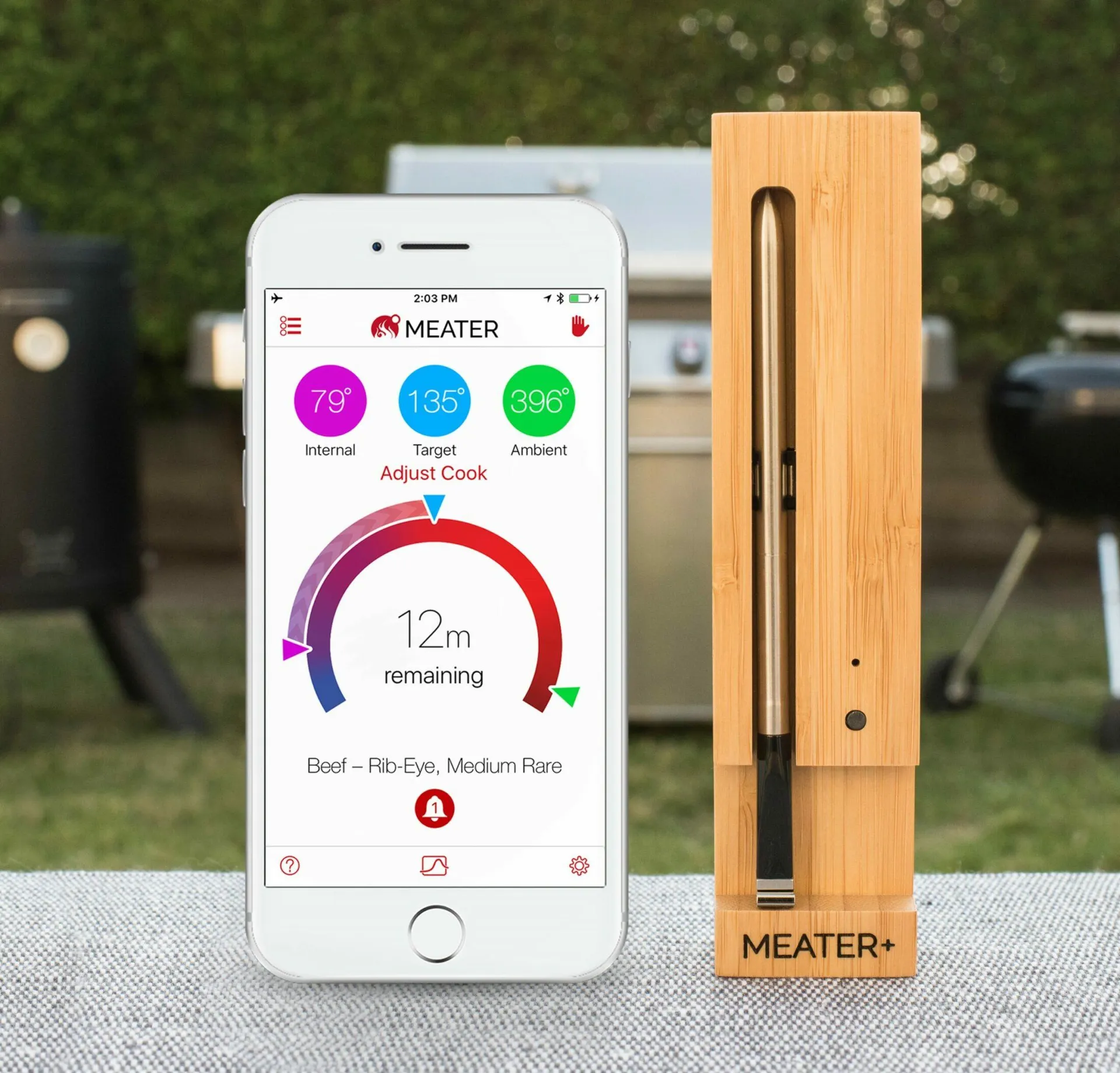 Meater Plus RT3 Wireless Thermometer