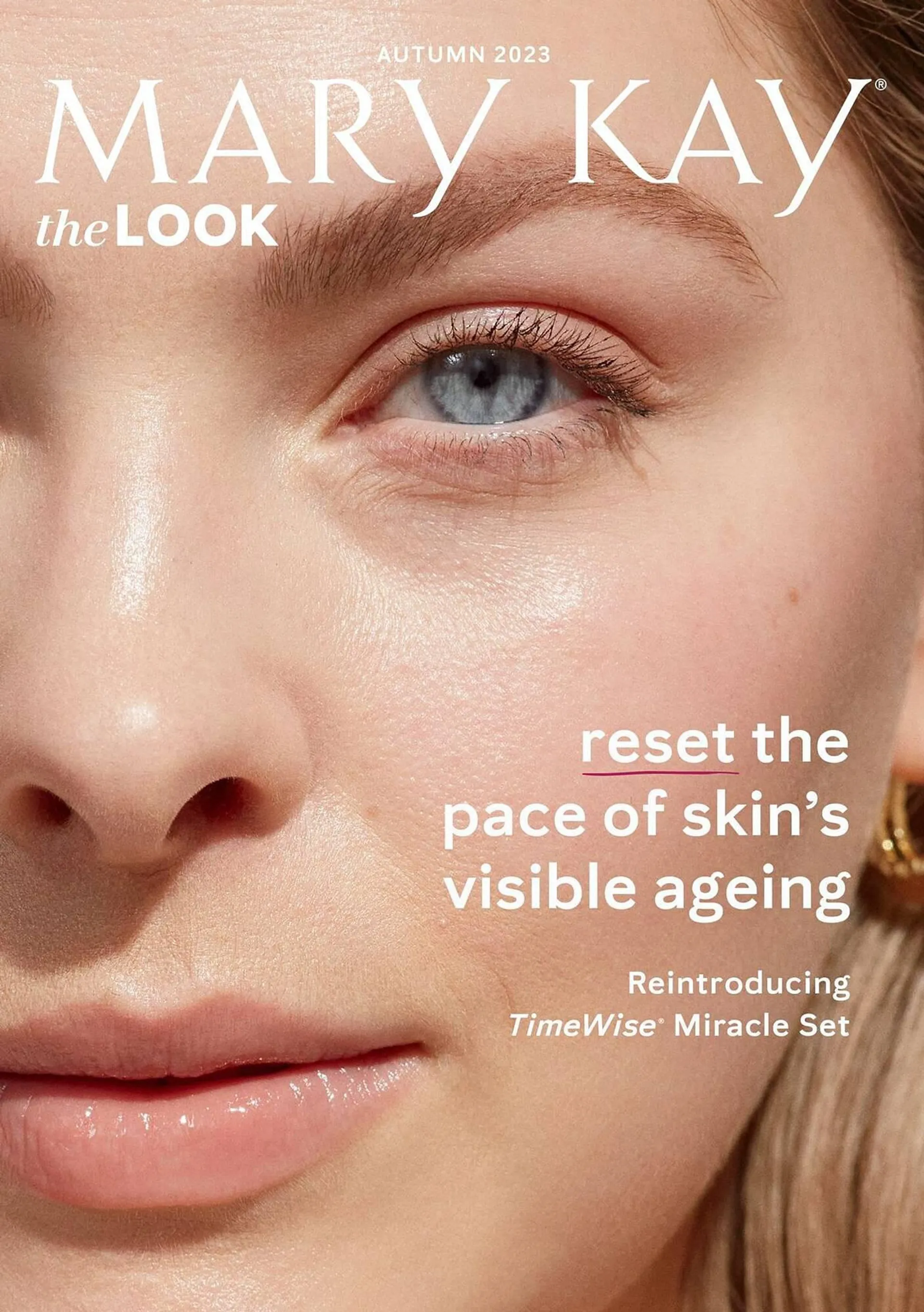 Mary Kay leaflet - 1
