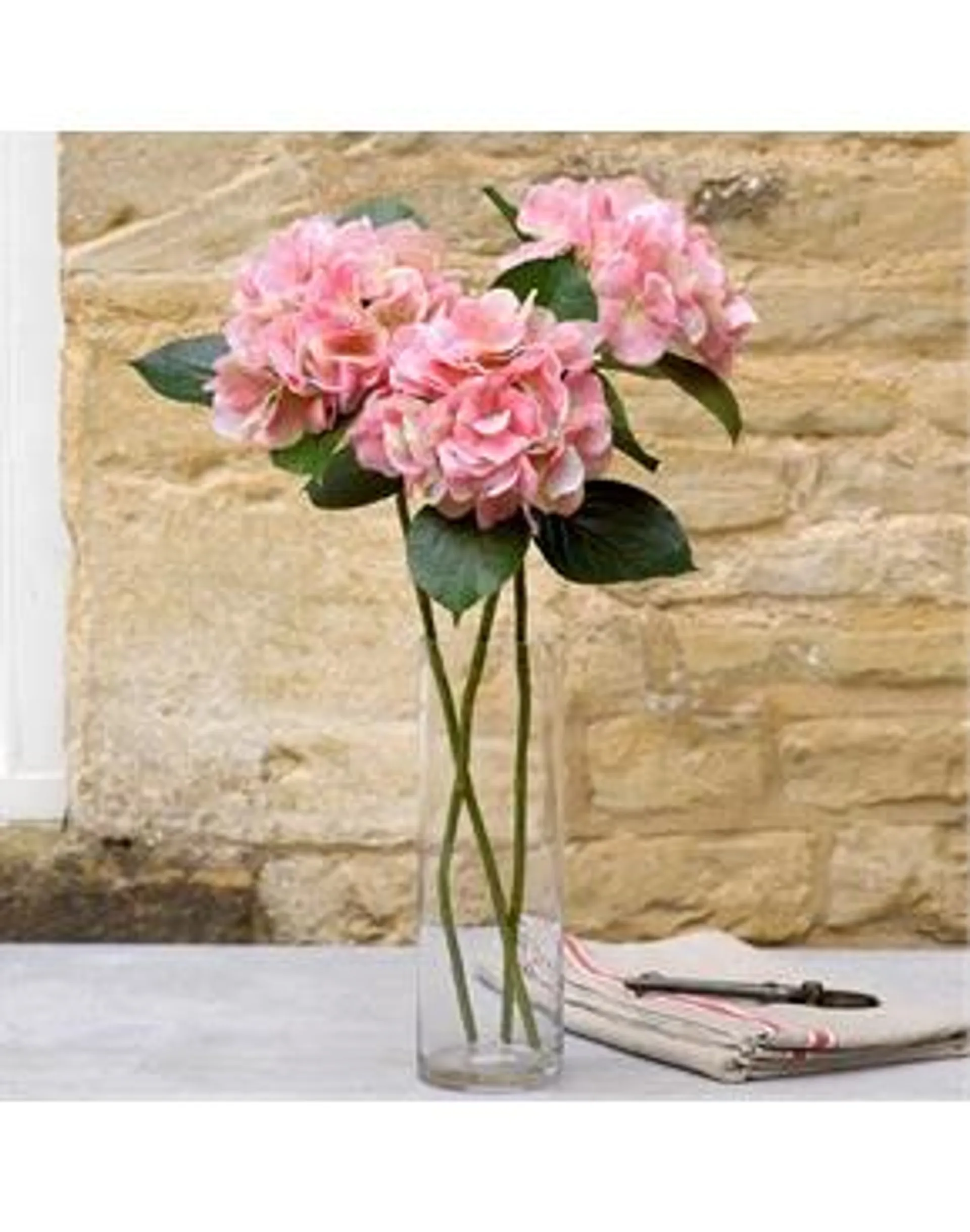 Pink Tulips in Cement Pot