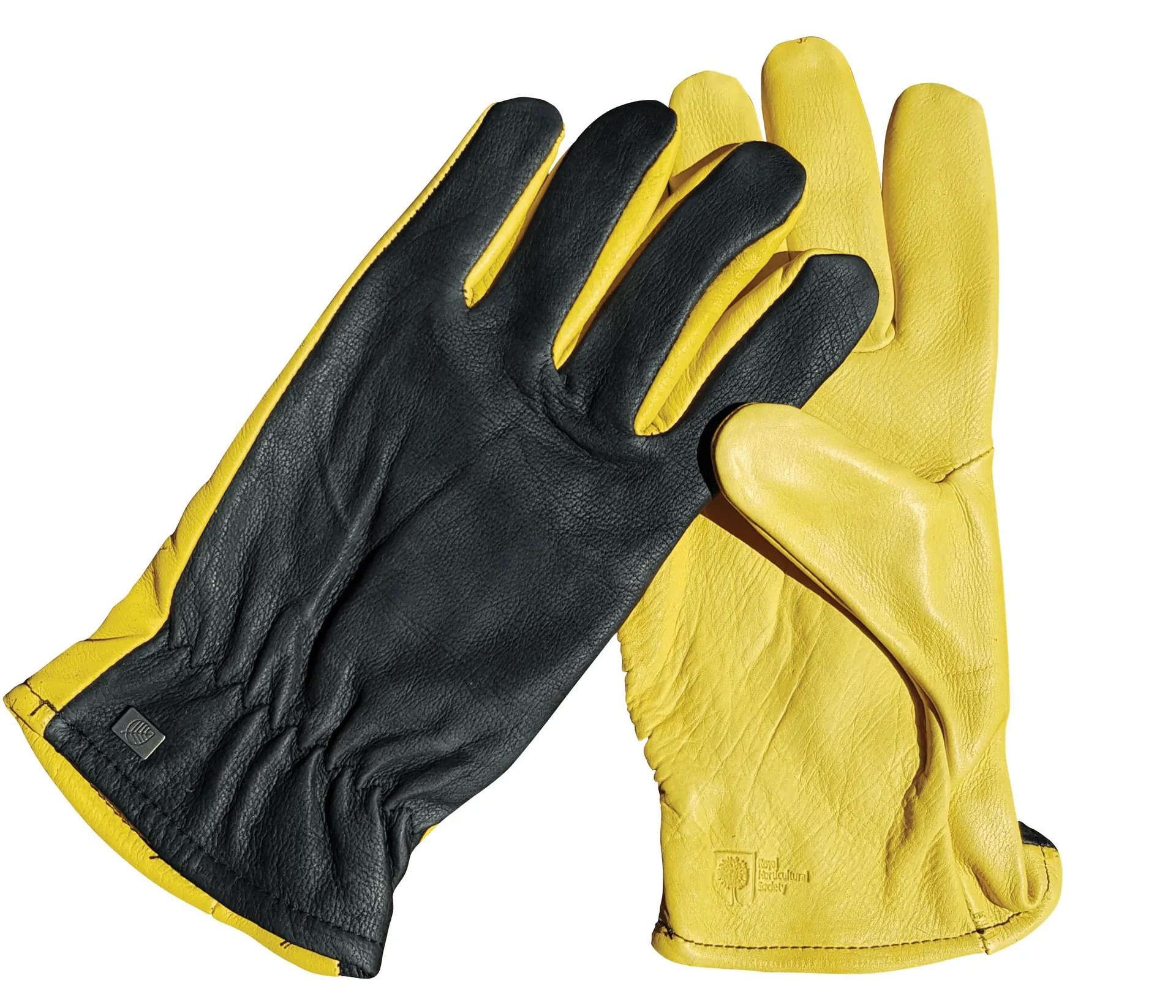 Dry Touch Gloves