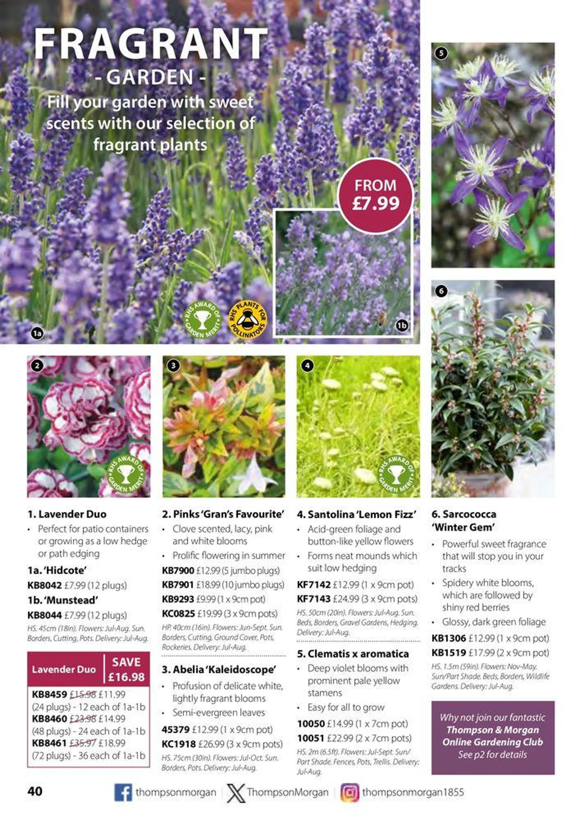 Autumn Catalogue from 1 September to 30 November 2024 - Catalogue Page 40