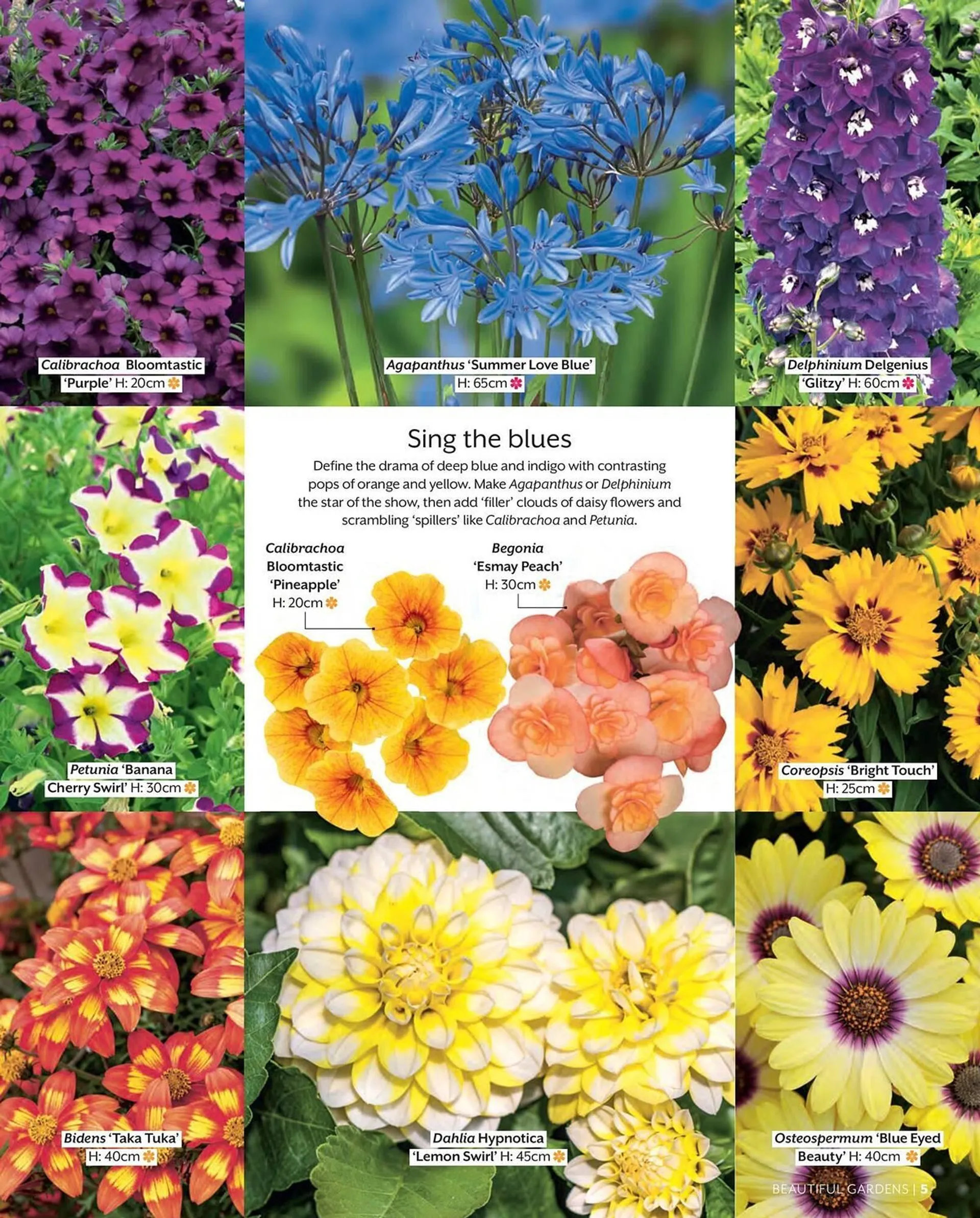 Frosts Garden Centres leaflet - 5