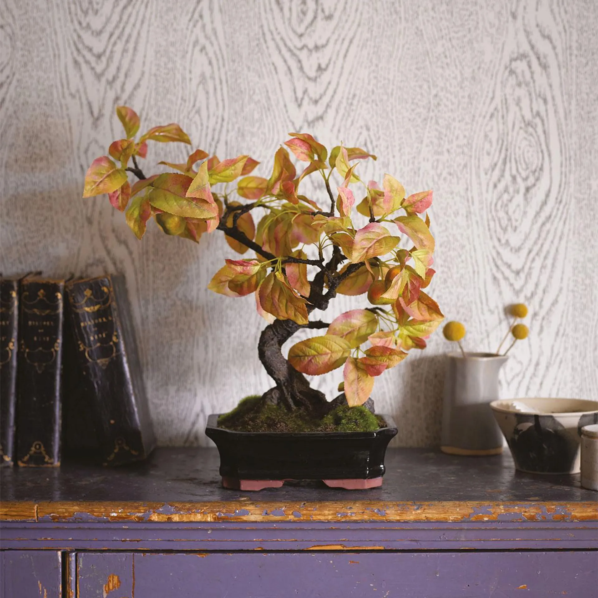 Crab Apple Bonsai in 1colour