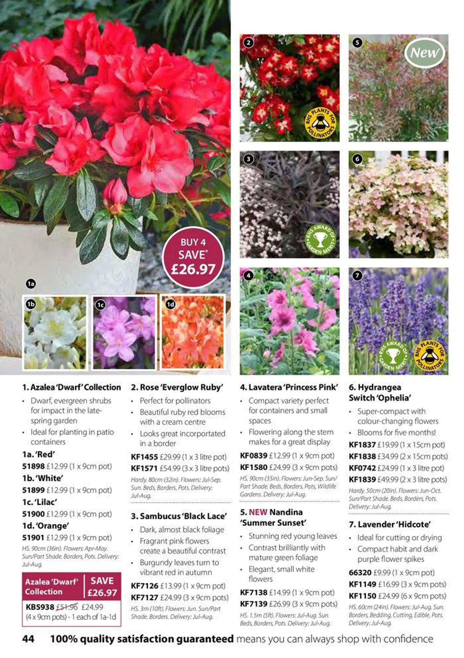 Autumn Catalogue from 1 September to 30 November 2024 - Catalogue Page 44