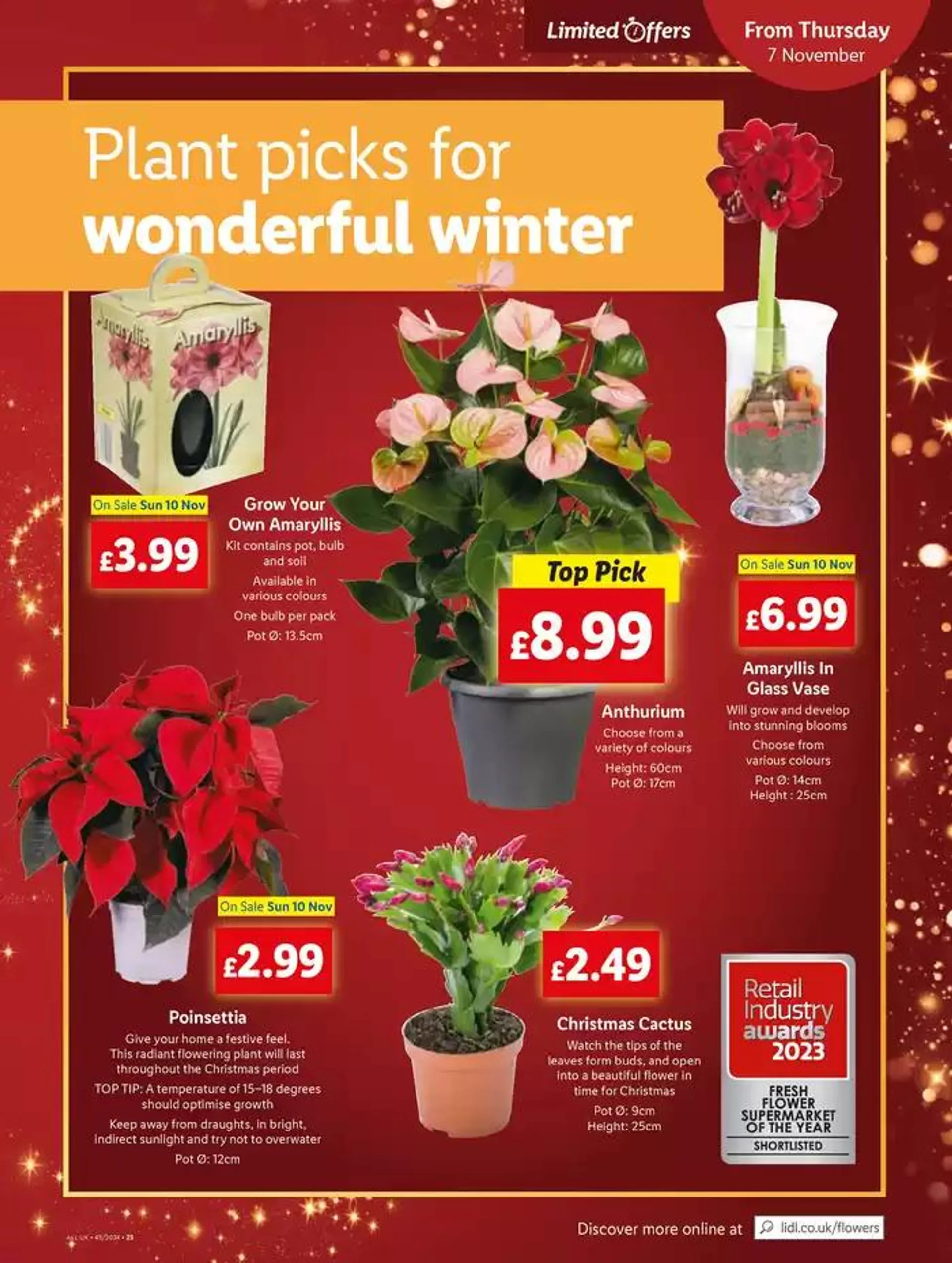 Wide range of offers from 7 November to 13 November 2024 - Catalogue Page 25