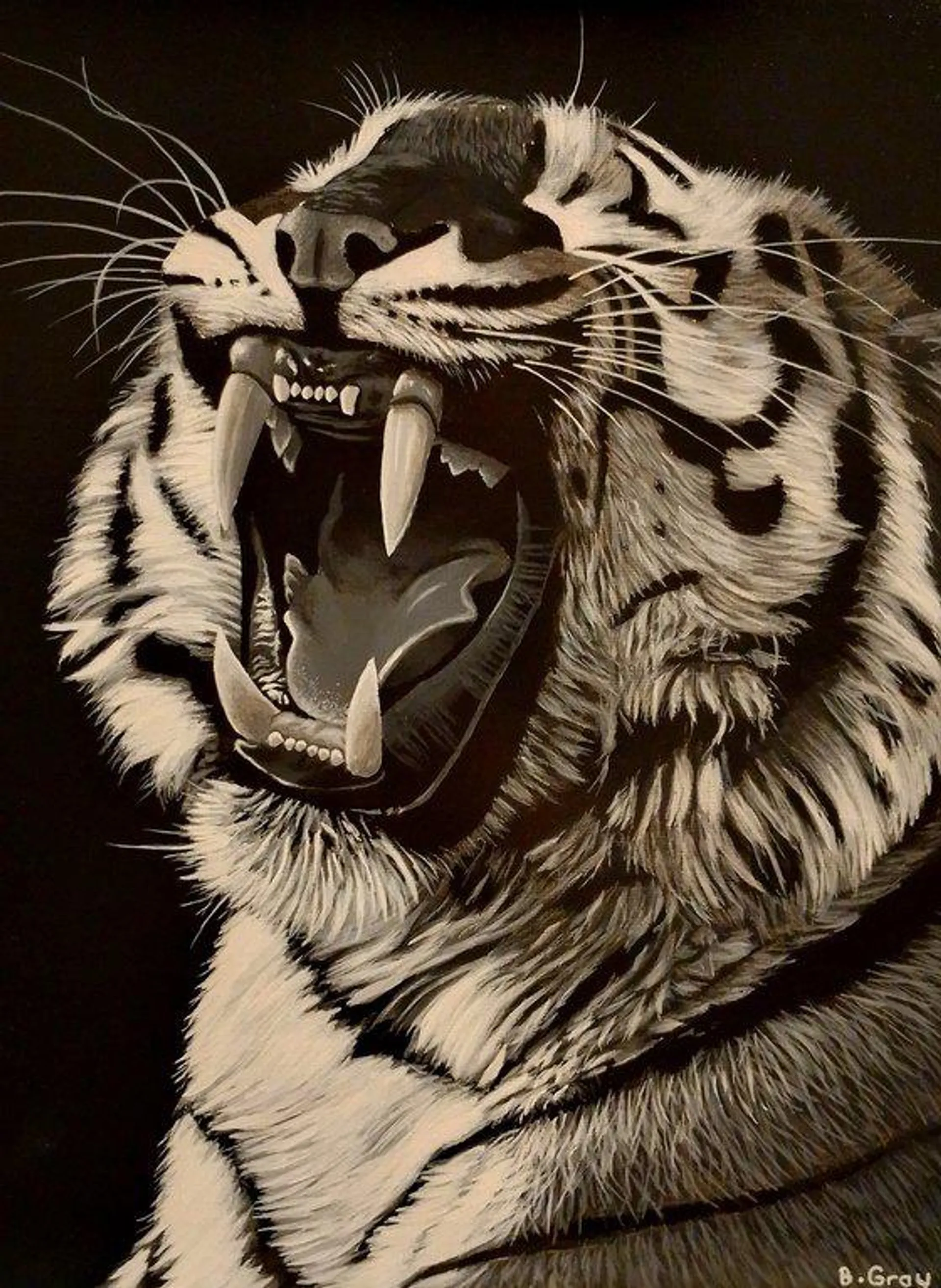 Tiger in black and white 3 (2024)