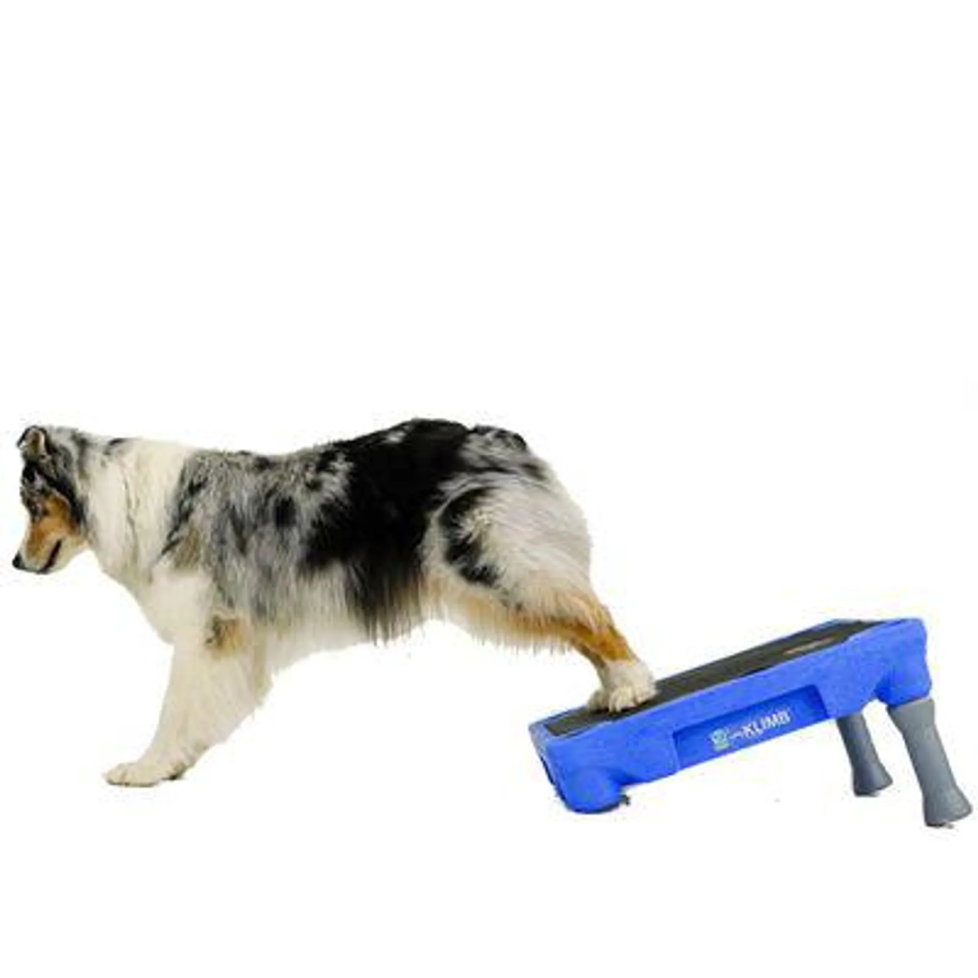 BLUE-9 Traction Mat for KLIMB Dog Training System