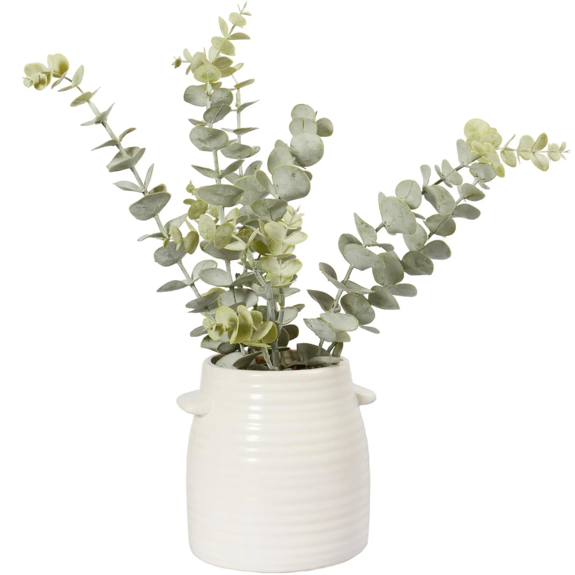 Eucalyptus Artificial Plant in White Ceramic Pot