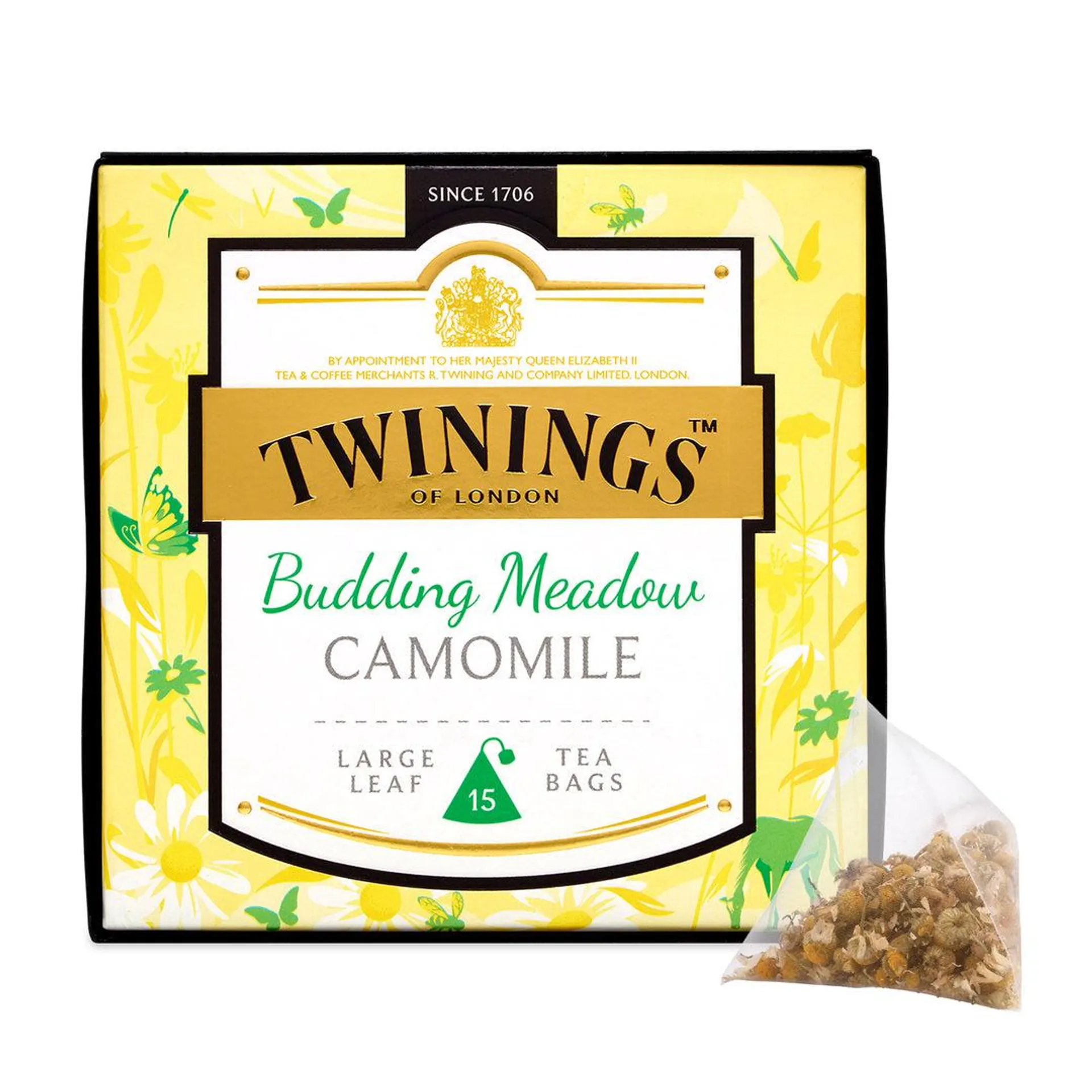 Discovery Collection Budding Meadow Camomile