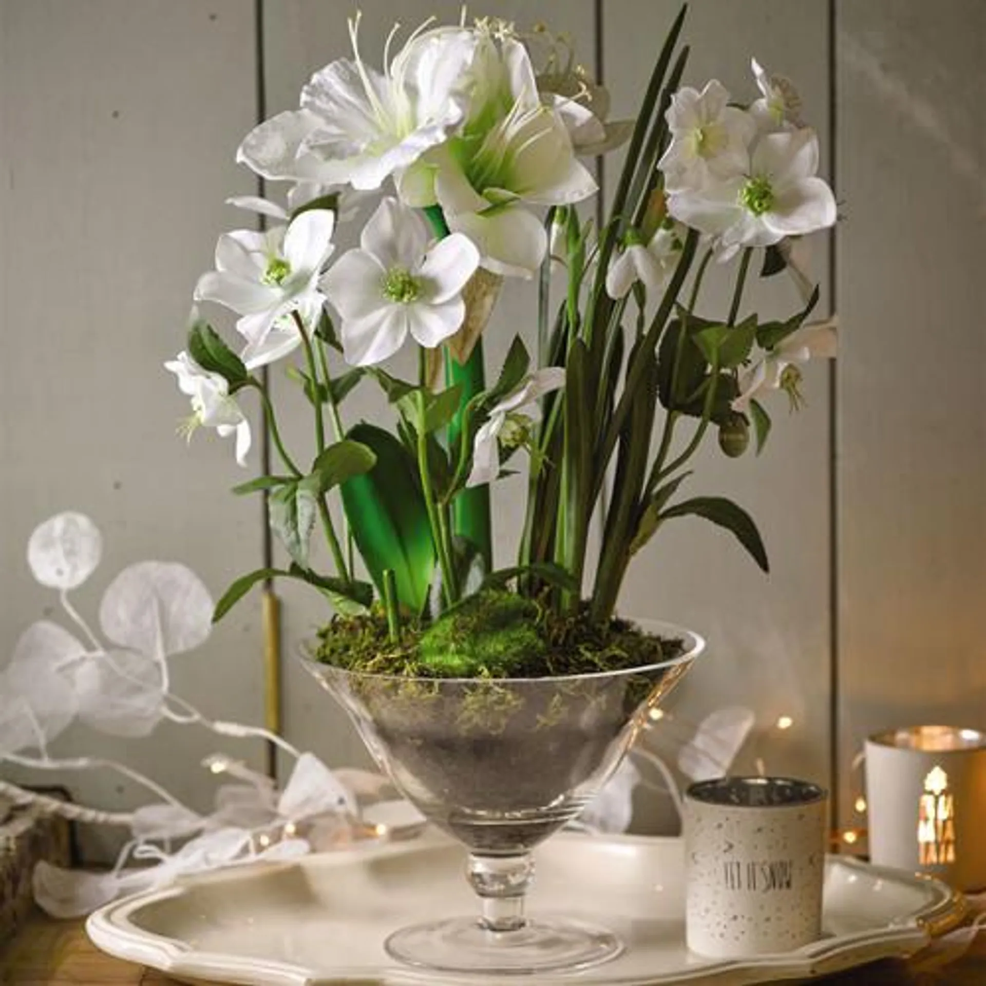White Amaryllis in a Footed Glass Vase