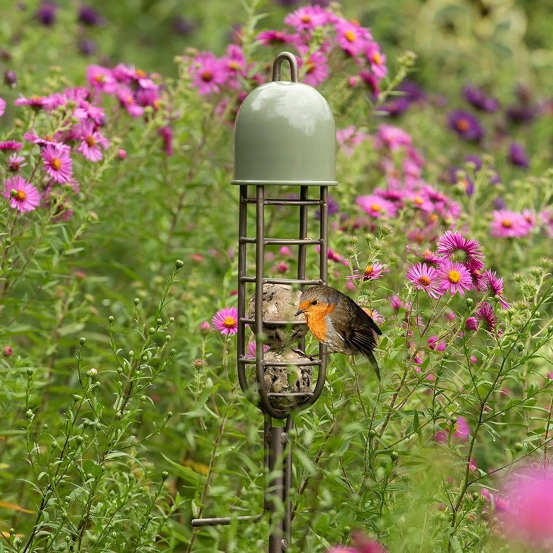 Garden stake fat ball feeder