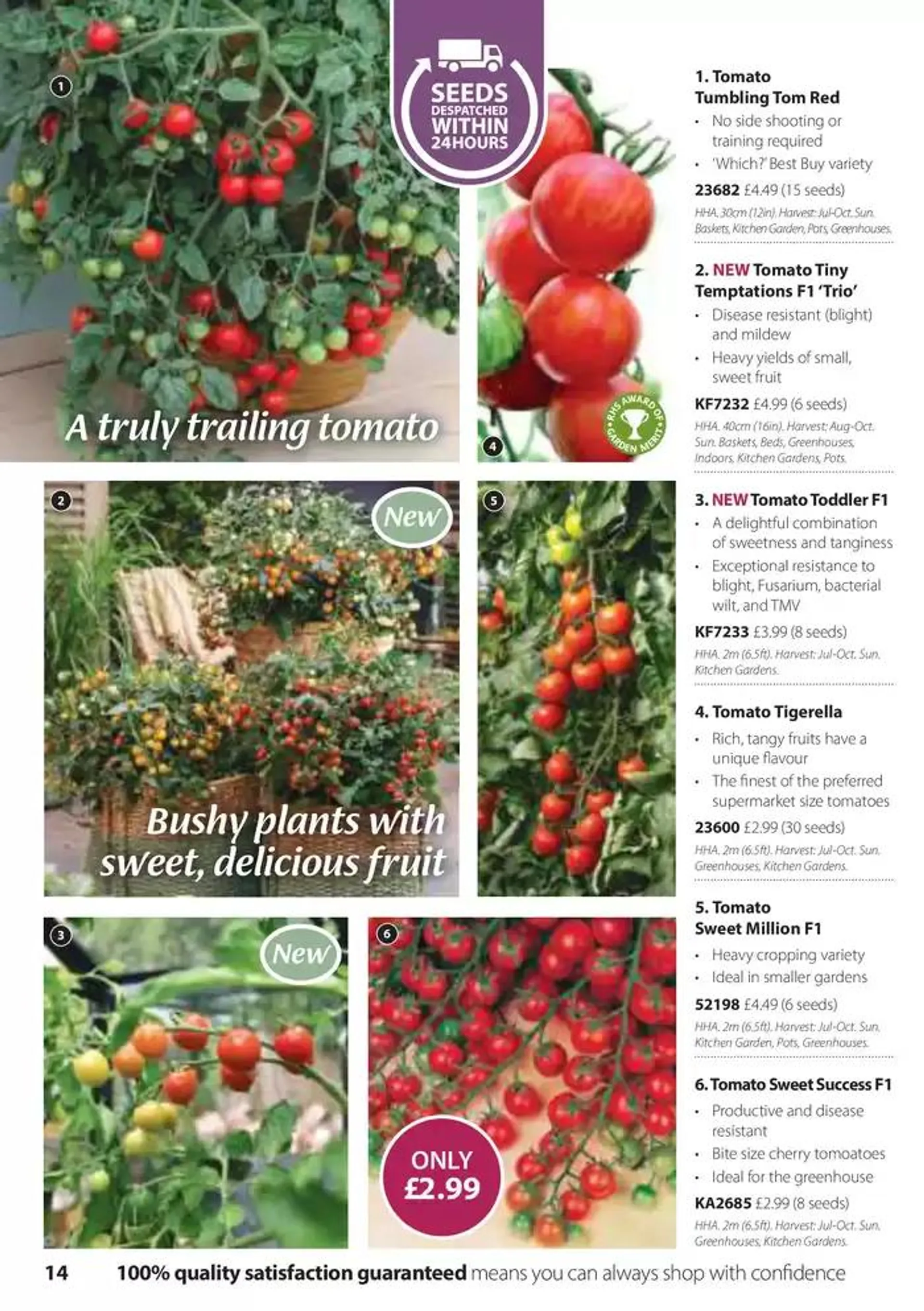 Seed Catalogue from 5 November to 31 December 2024 - Catalogue Page 14