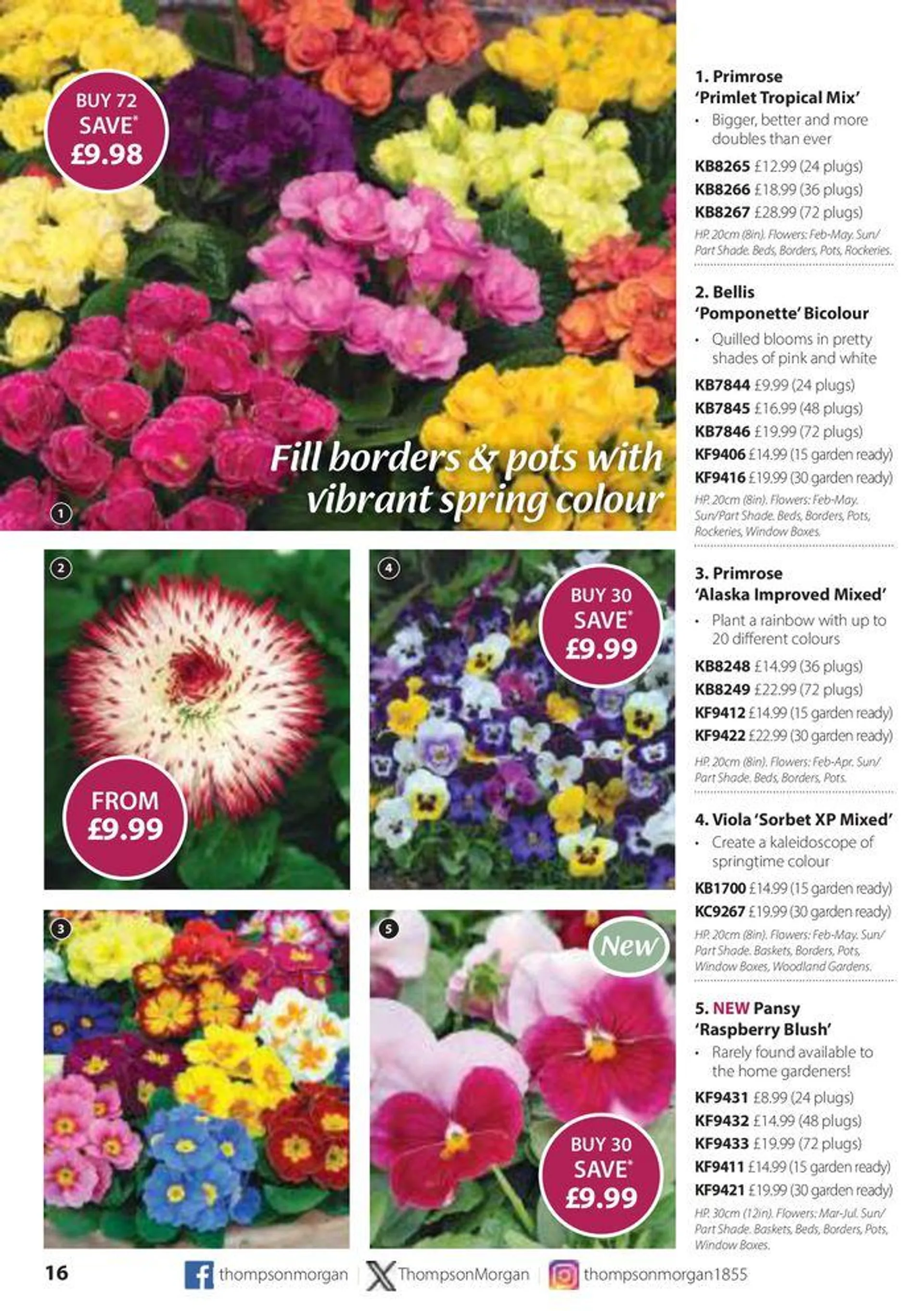 Autumn Catalogue from 1 September to 30 November 2024 - Catalogue Page 16