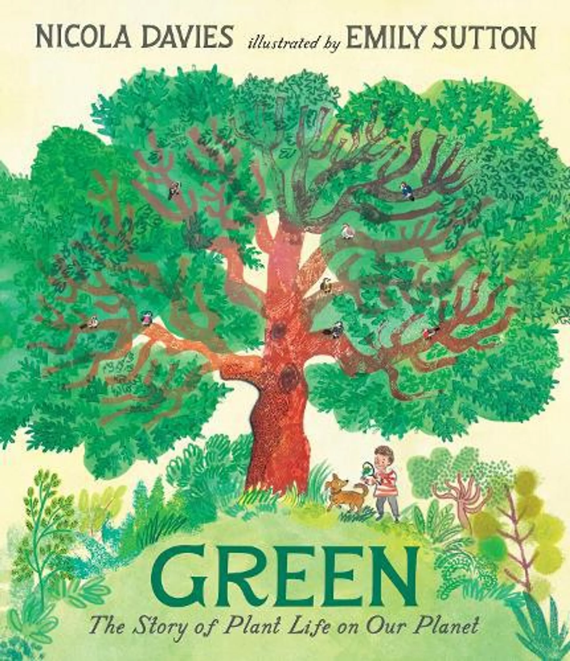 Green: The Story of Plant Life on Our Planet (Hardback)