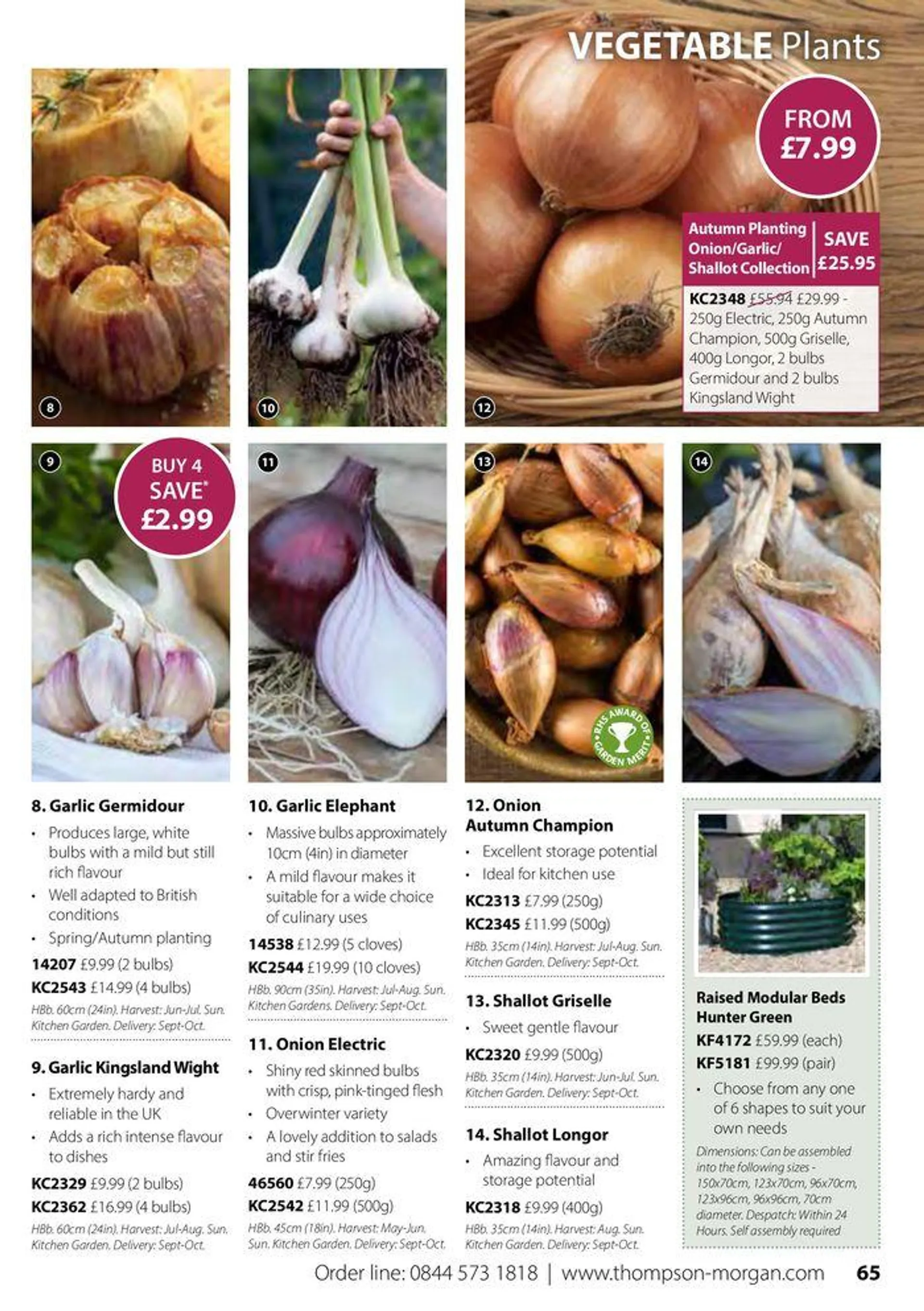 Autumn Catalogue from 1 September to 30 November 2024 - Catalogue Page 65