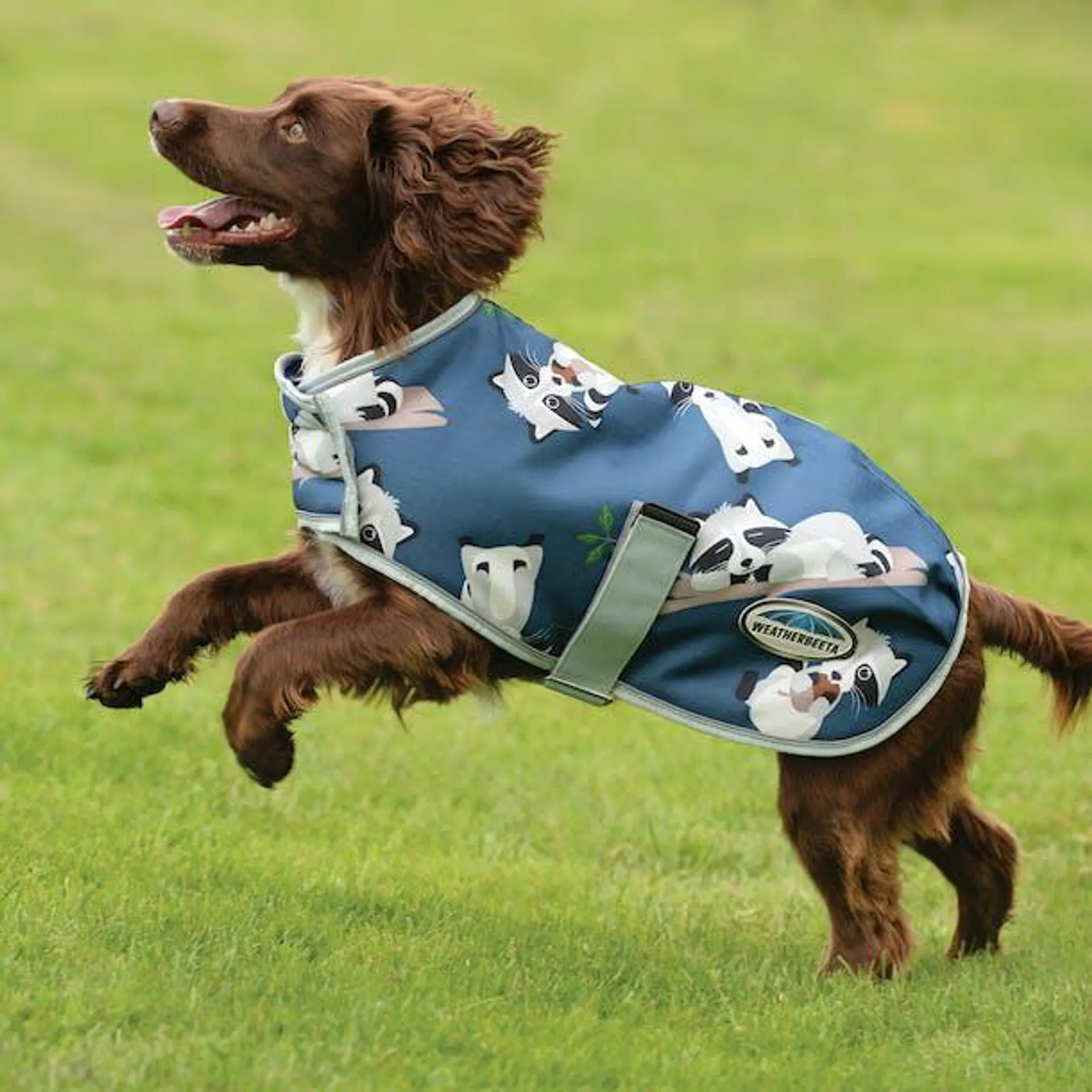 Weatherbeeta Comfitec Premier Free Parka Medium Dog Jacket