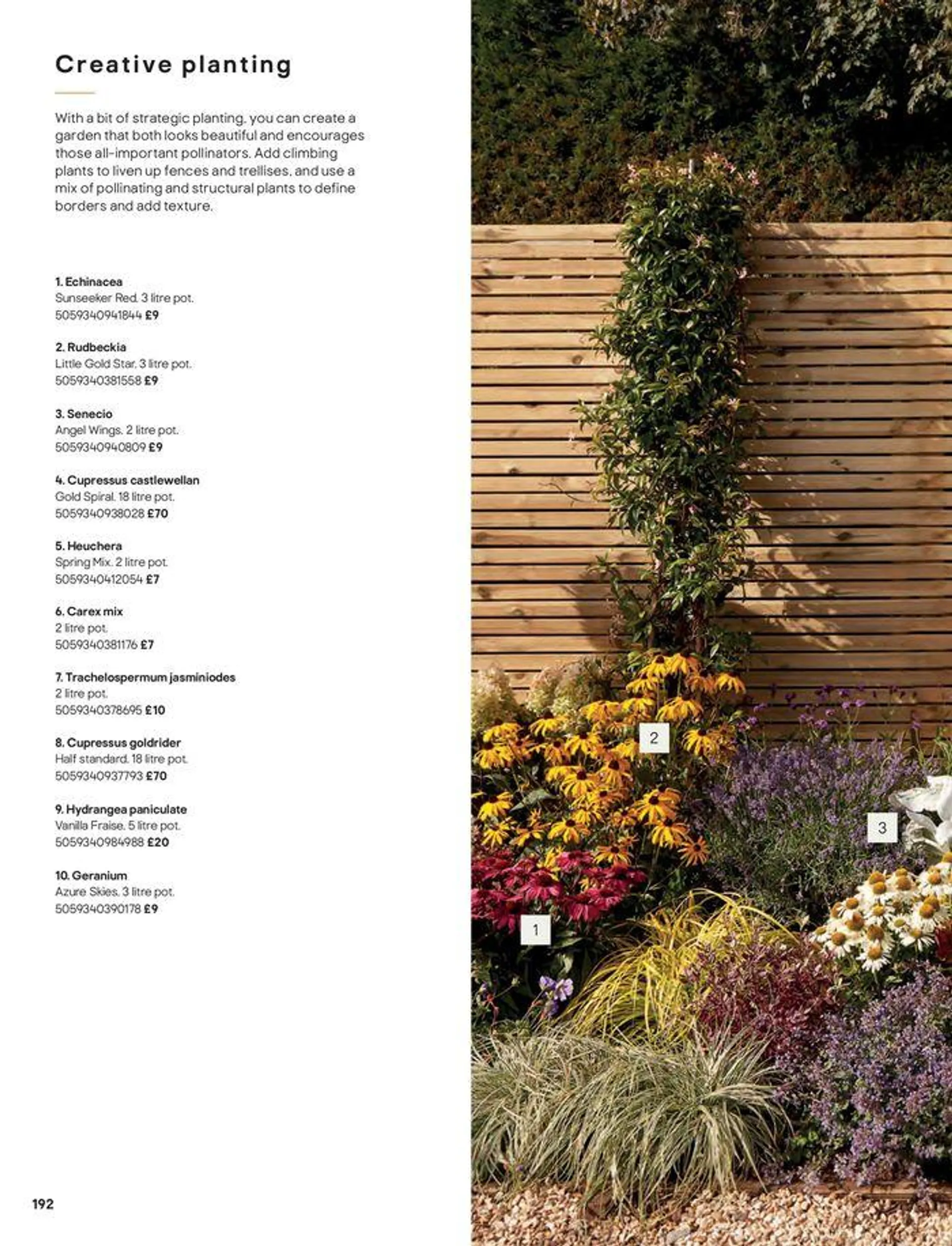 Outdoors from 20 September to 31 December 2024 - Catalogue Page 192