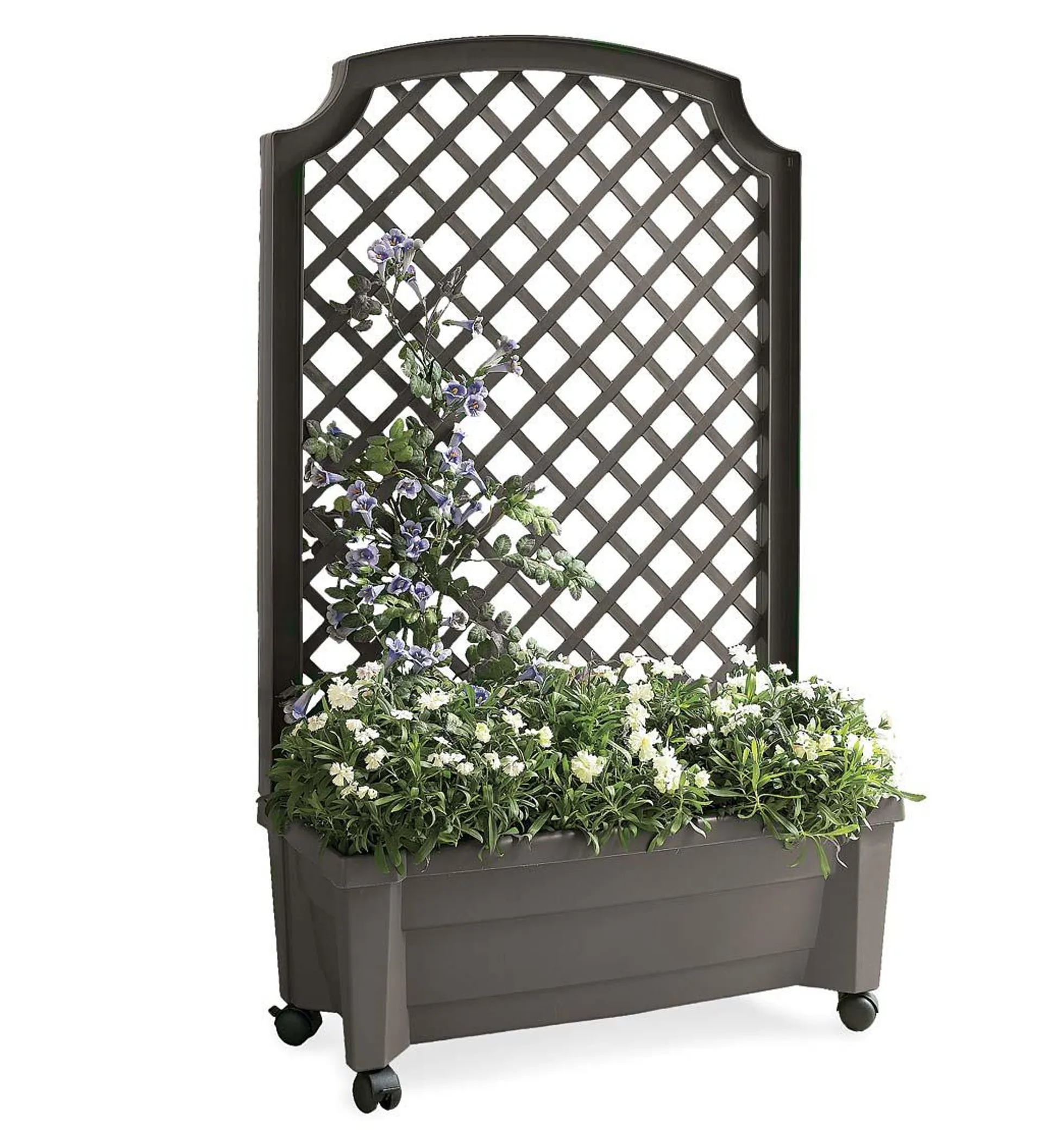 Planter With Trellis And Self-Watering Reservoir - Anthracite