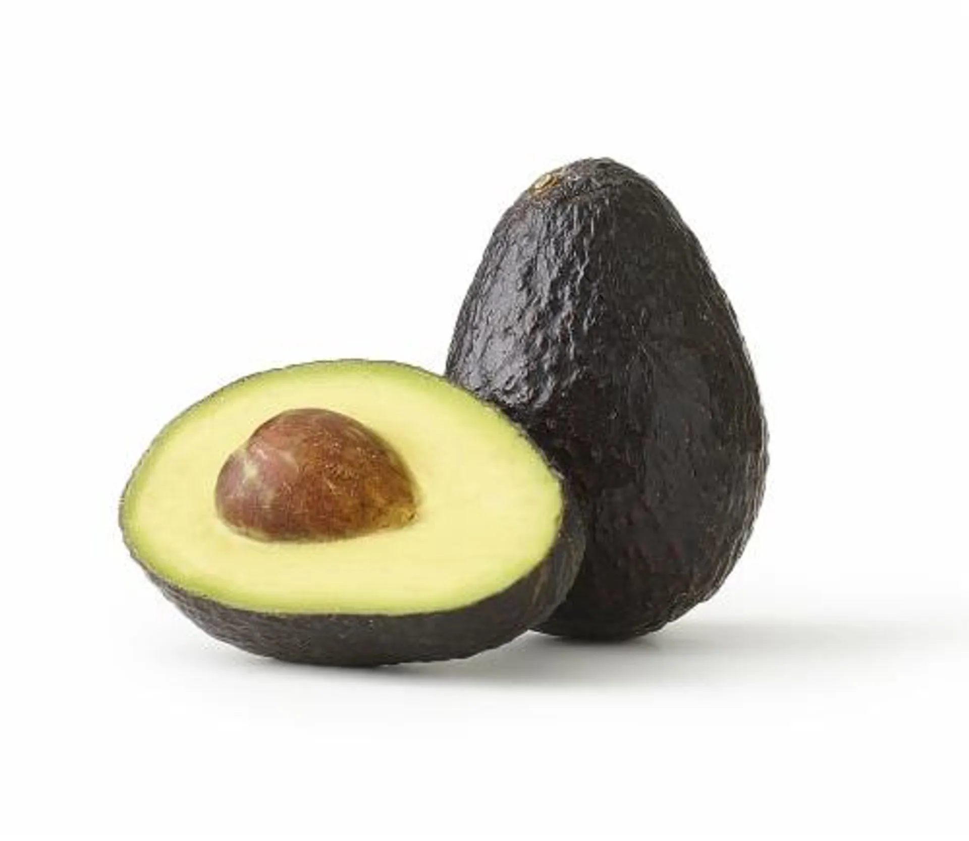 Large Avocado