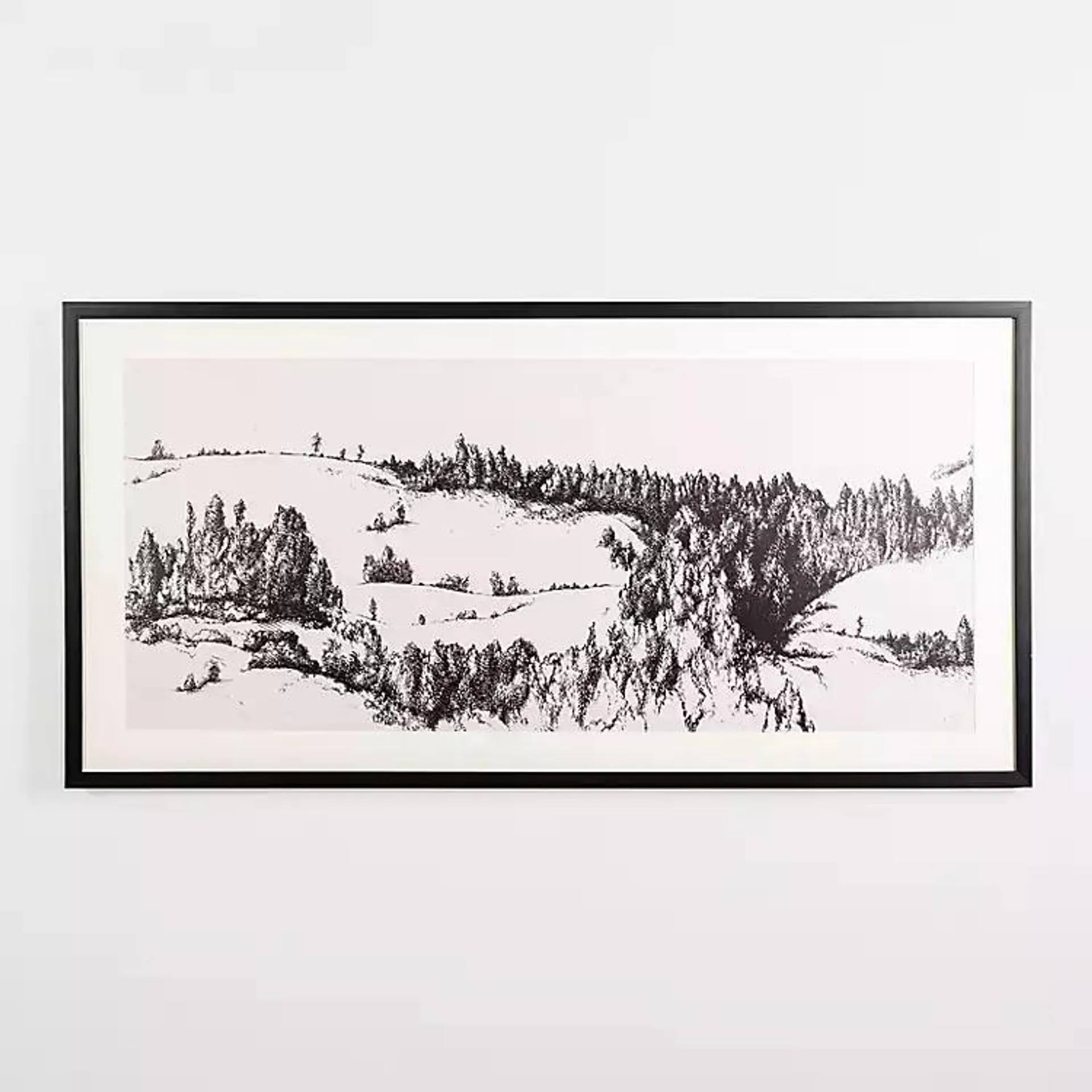 Black and White Landscape Framed Art Print