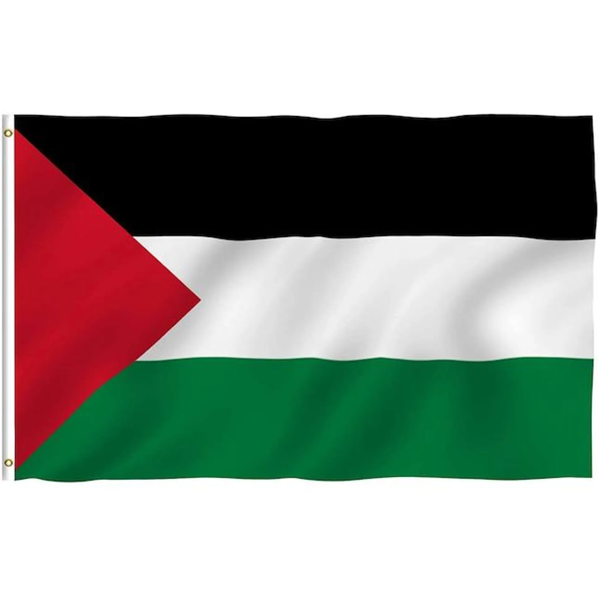 Anley Palestine Flag 5-ft W x 3-ft H International Flag