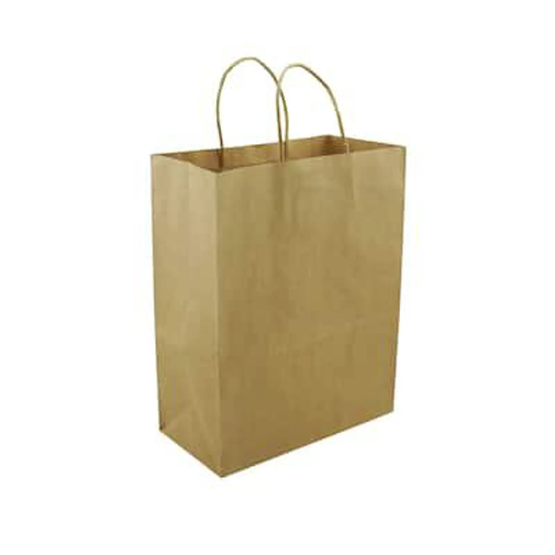 24 Pack: Large Kraft Paper Gift Bag by Celebrate It™