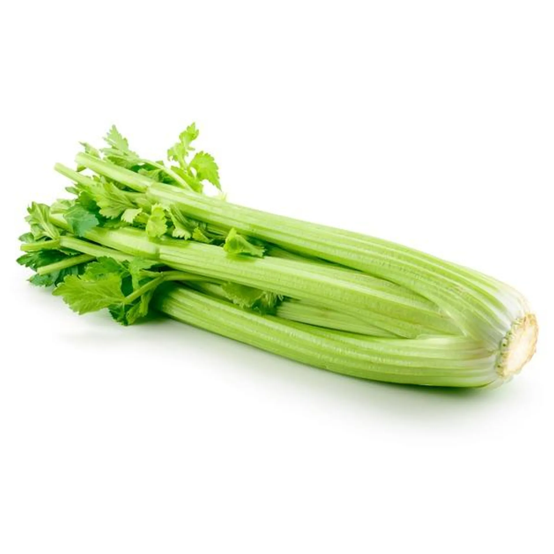 Celery Bunch