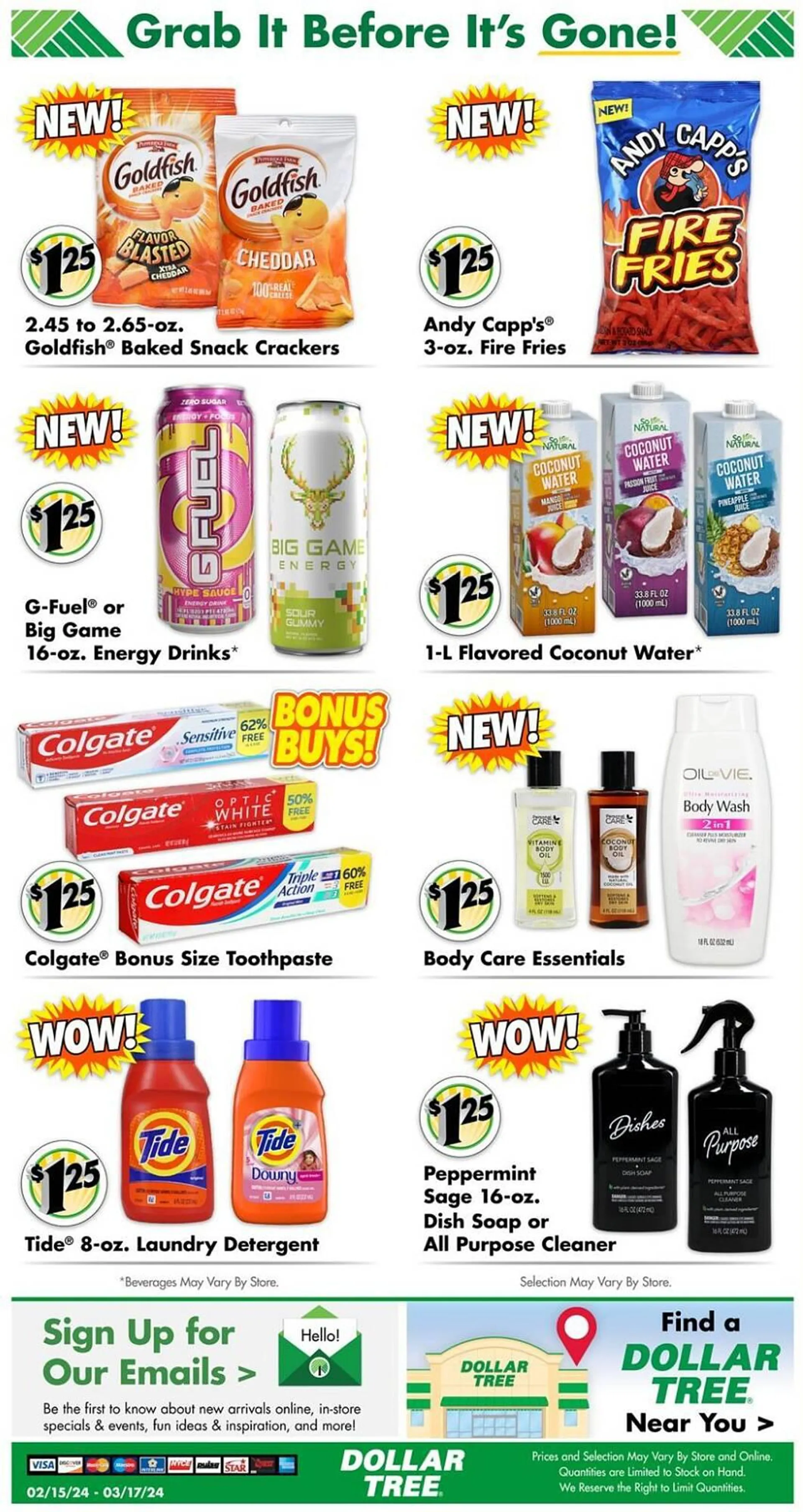 Weekly ad Dollar Tree Weekly Ad from February 15 to March 17 2024 - Page 13