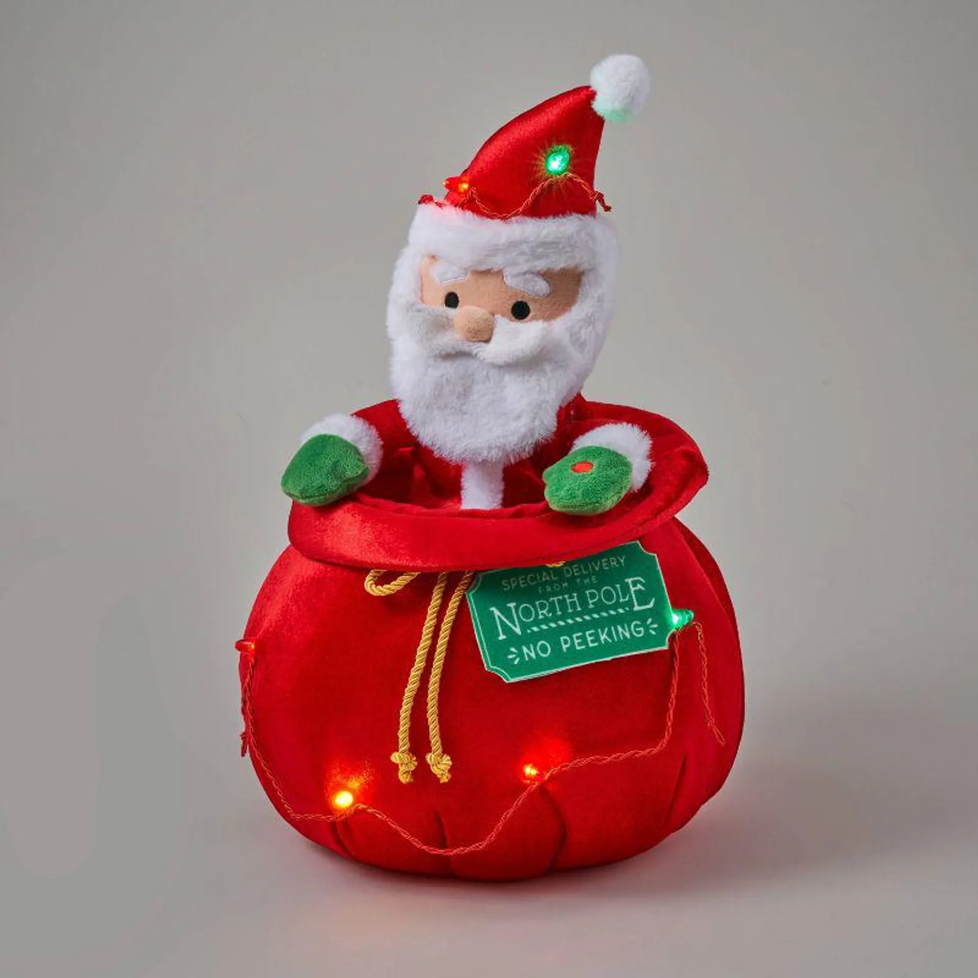 13" Santa in Bag Decorative Christmas Figurine - Wondershop™