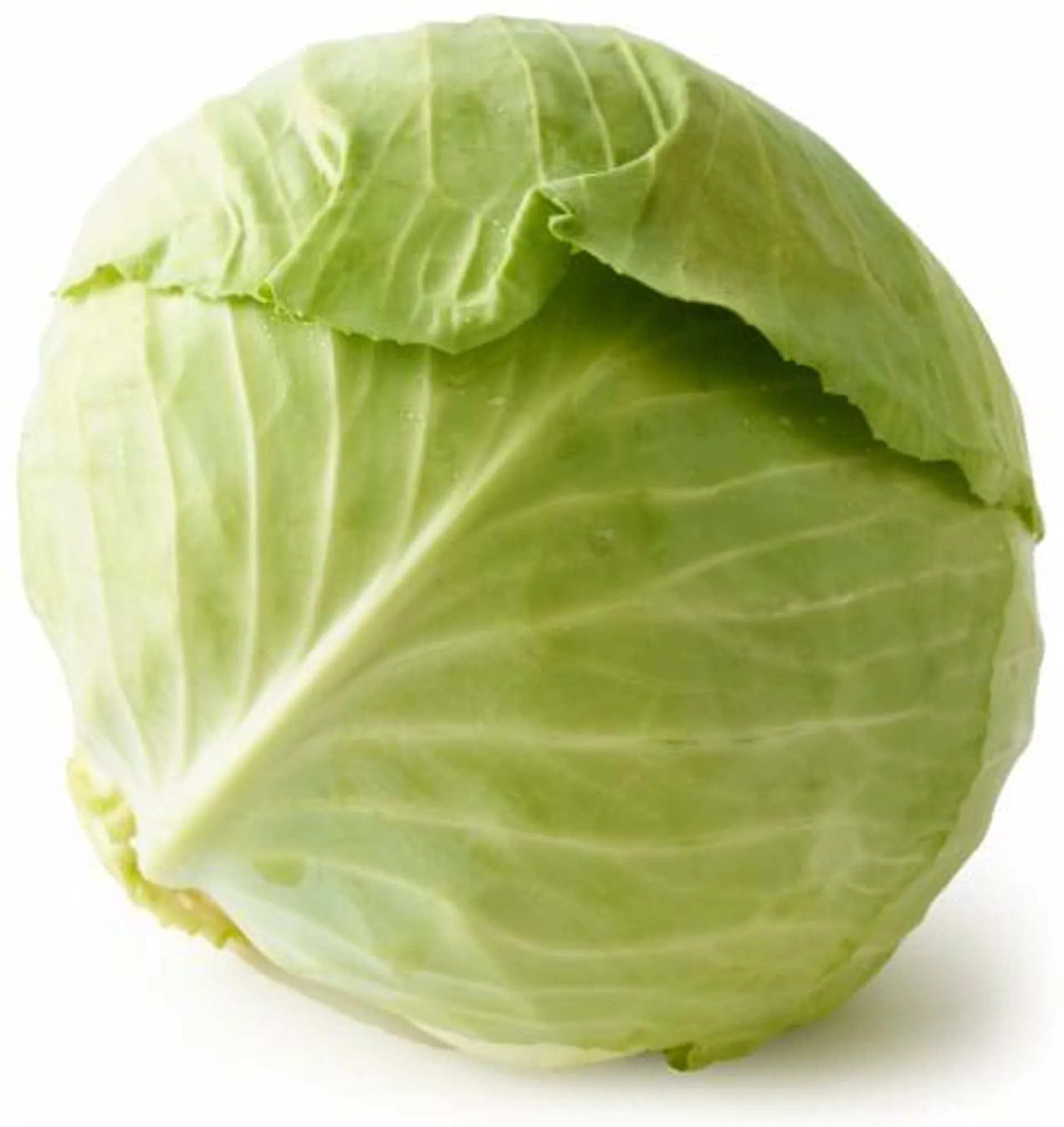 Green Cabbage