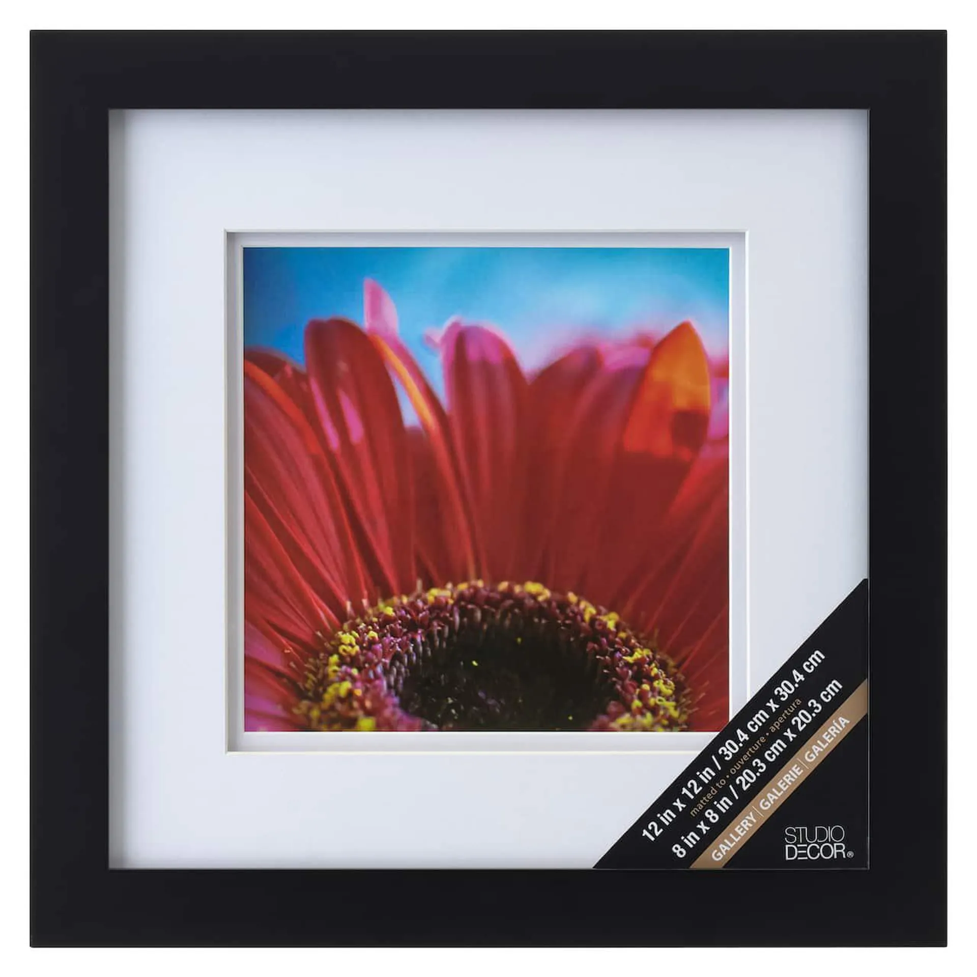 Black Square Gallery Wall Frame with Double Mat by Studio Décor®