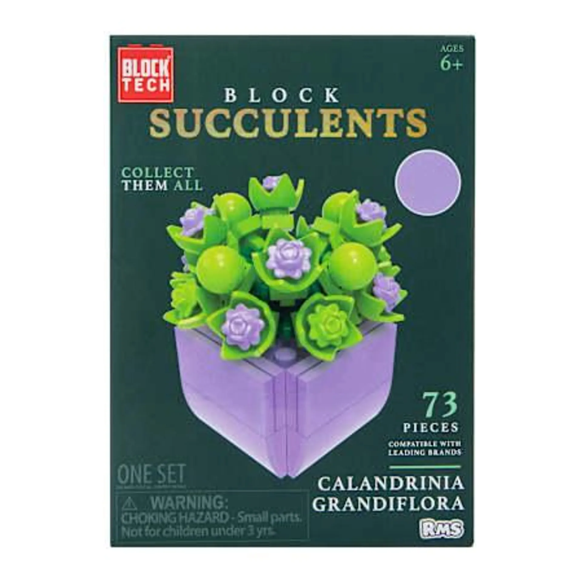 Block Tech® Succulents Block Set