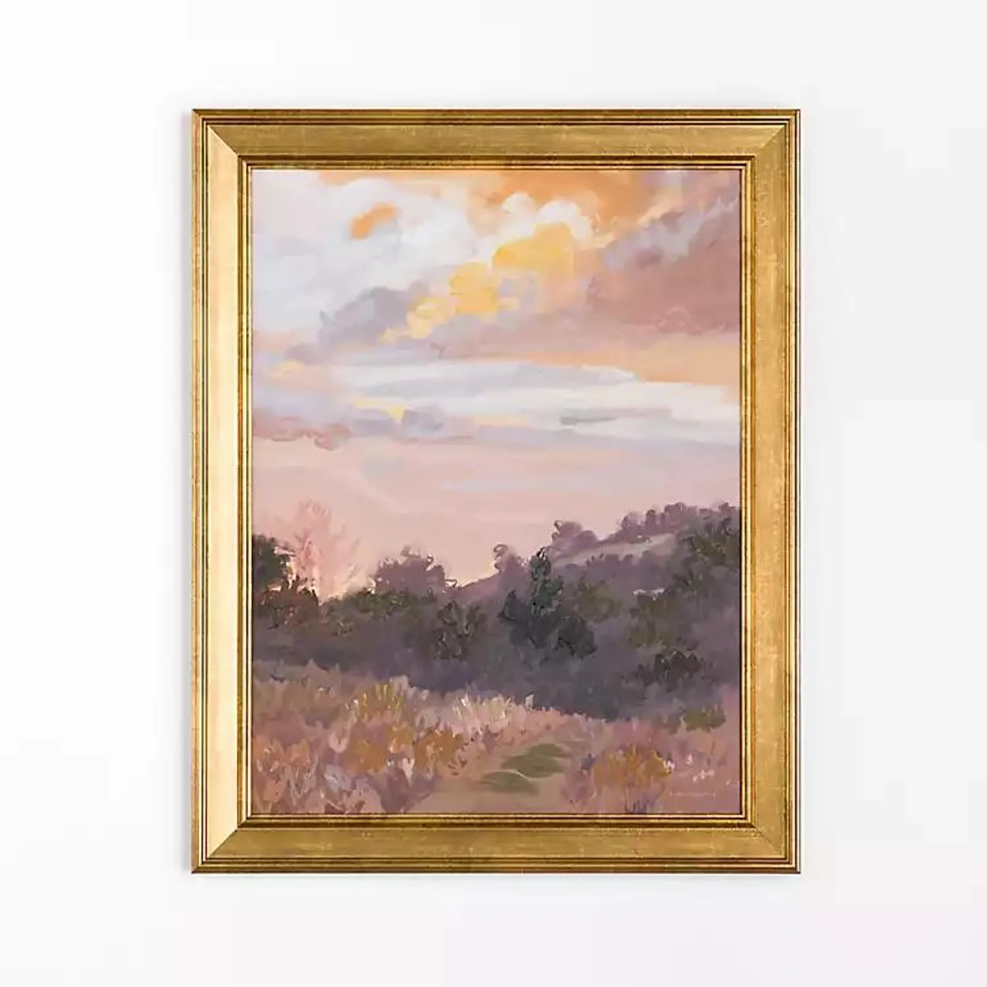 French Meadow Sunset Framed Art Print