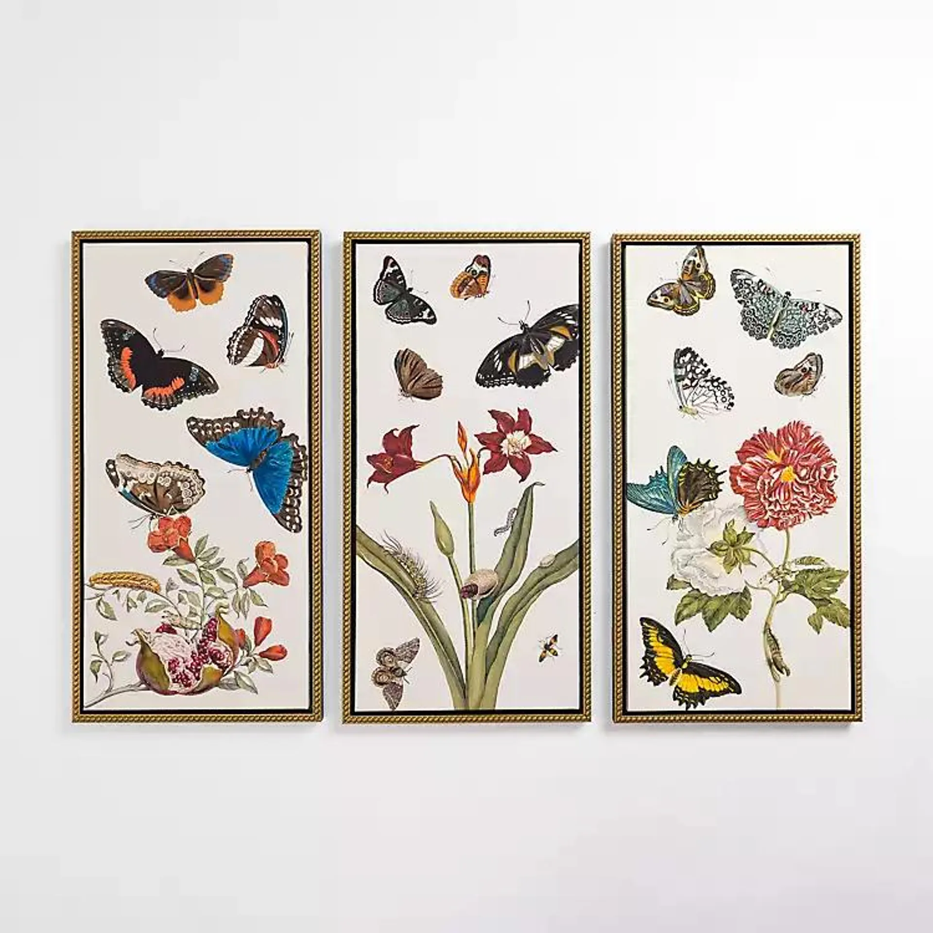 Butterfly Swarm Framed Canvas Art Prints, Set of 3