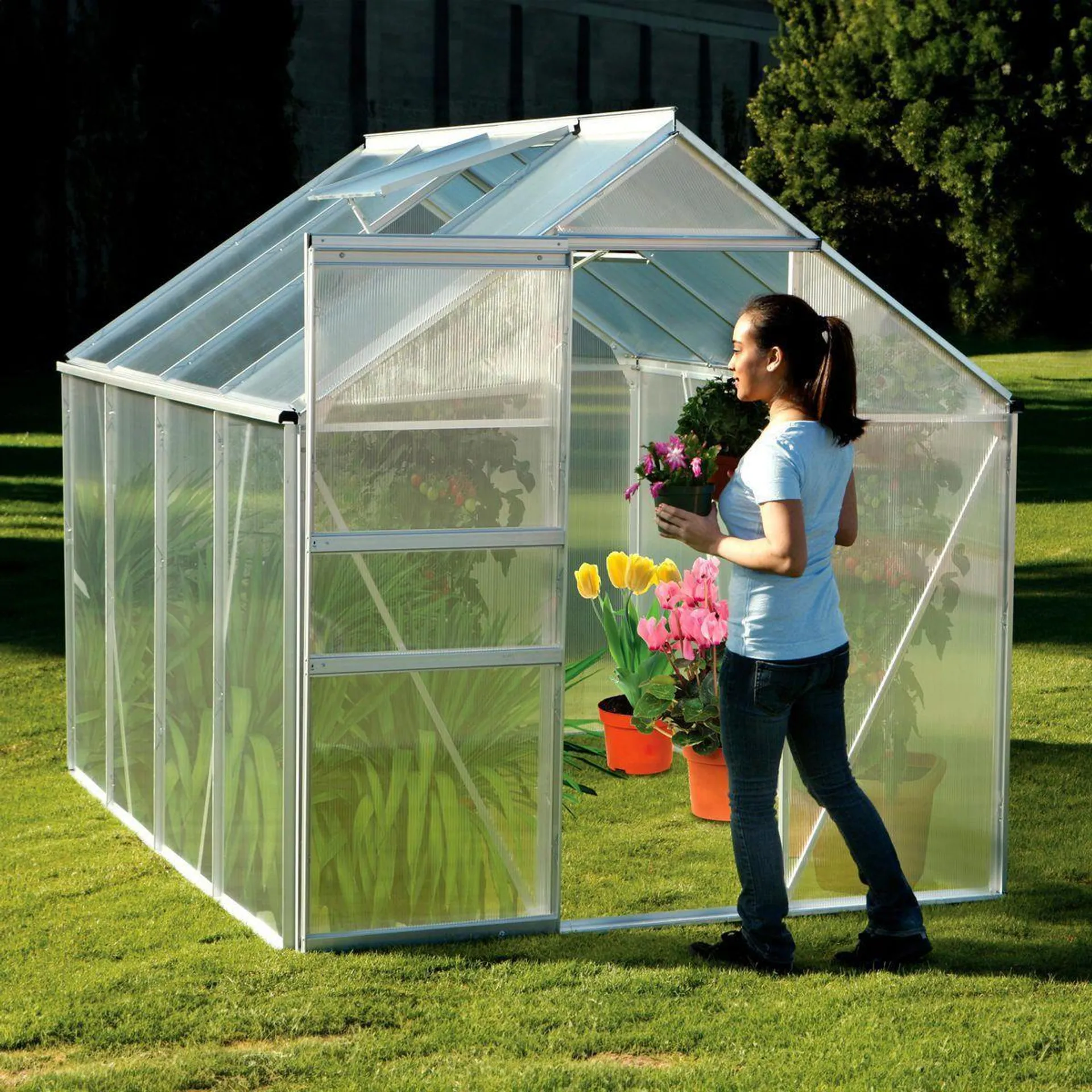 ONE STOP GARDENS 6 ft. x 8 ft. Greenhouse